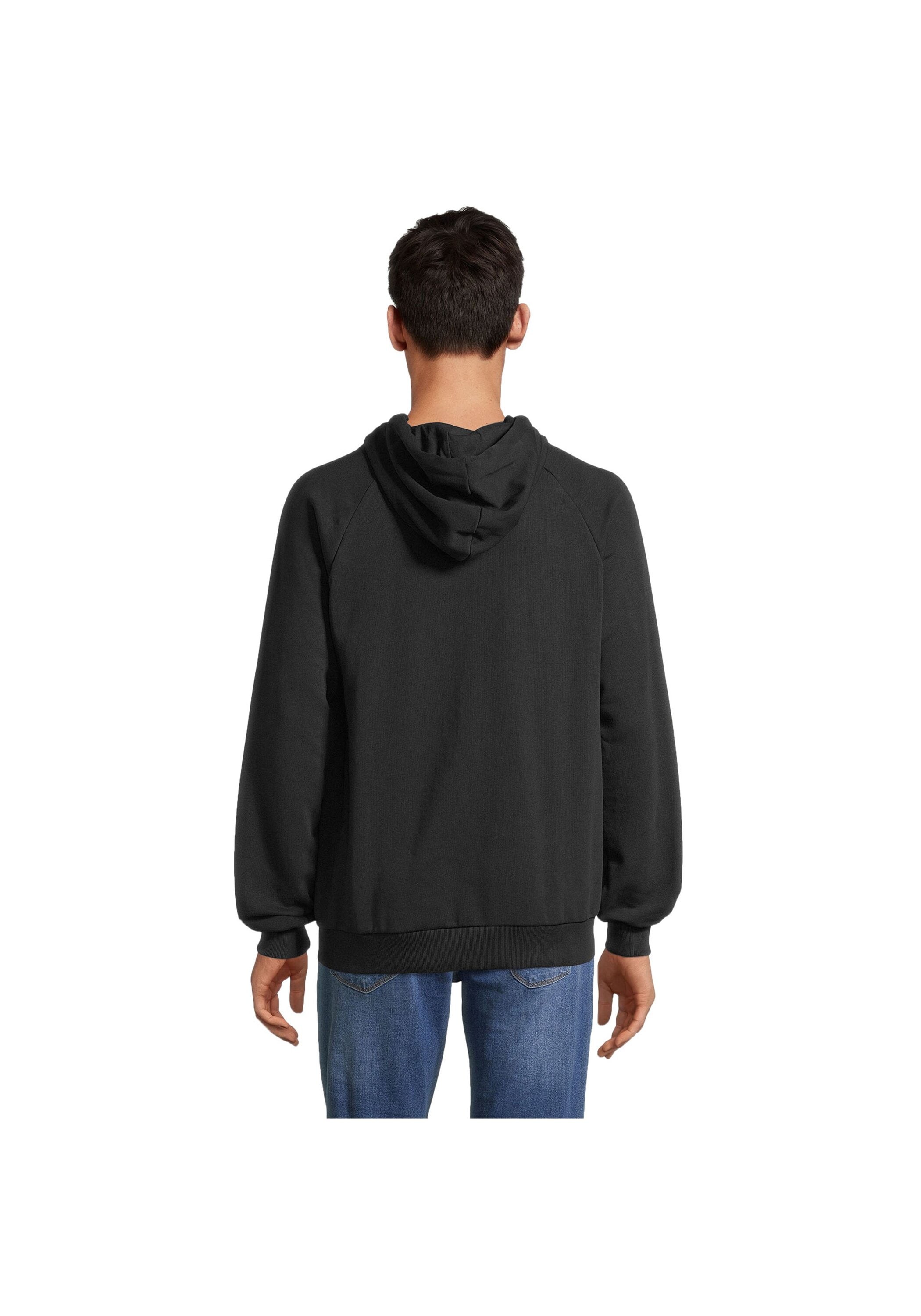 Fila Sweatshirt »Sweatshirt BRAIVES raglan hoody«