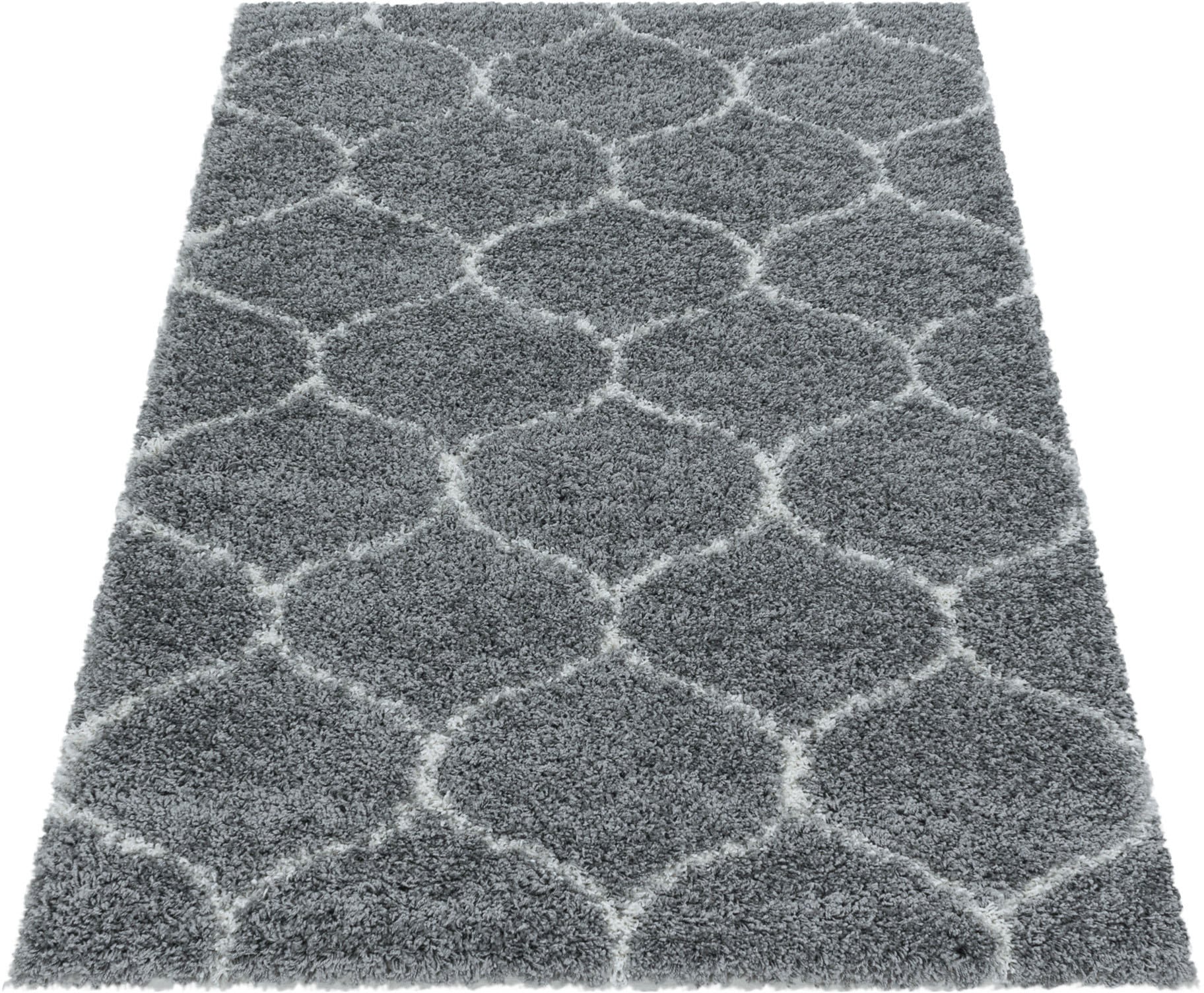 Ayyildiz Teppiche Hochflor-Teppich »SALSA 3201«, rechteckig, 50 mm Höhe, auch in rund, Pflegeleicht / Strapazierfähig / Shaggy/ Wohnzimmer