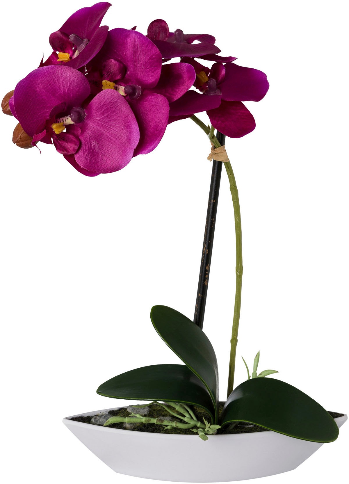 Creativ green Kunstorchidee »Phalaenopsis«, 2er Set, in Kunststoffschale