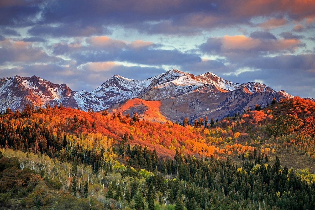 Fototapete »GEBIRGE-HERBST NATUR ALPEN LANDSCHAFT WALD BÄUME BERGE«