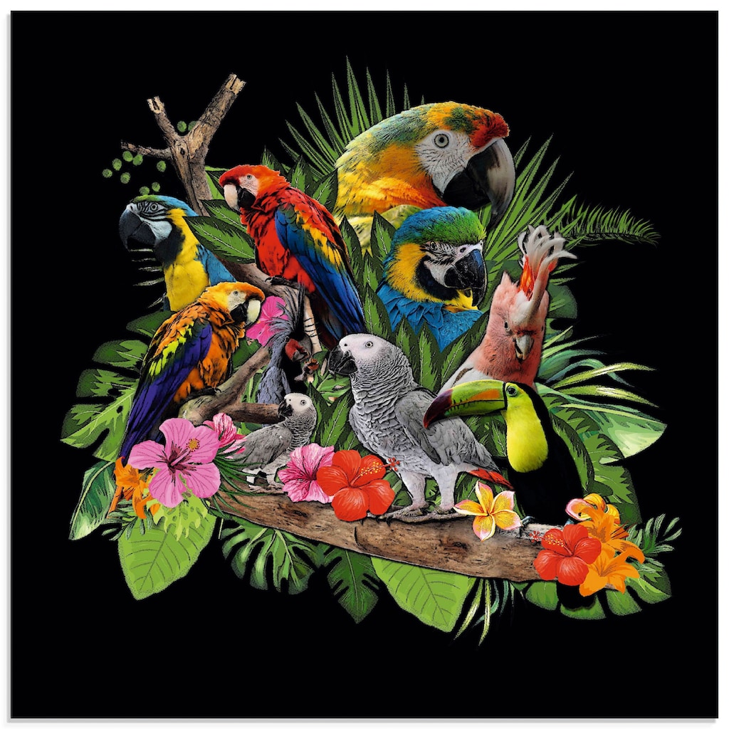 Artland Glasbild »Papageien Graupapagei Kakadu Dschungel«, Vögel, (1 St.)