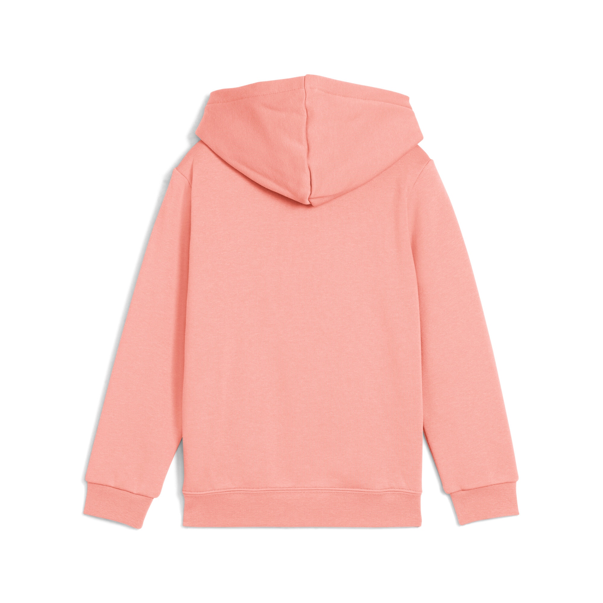 PUMA Kapuzensweatshirt »ESS NO. 1 LOGO HOODIE FL PS«