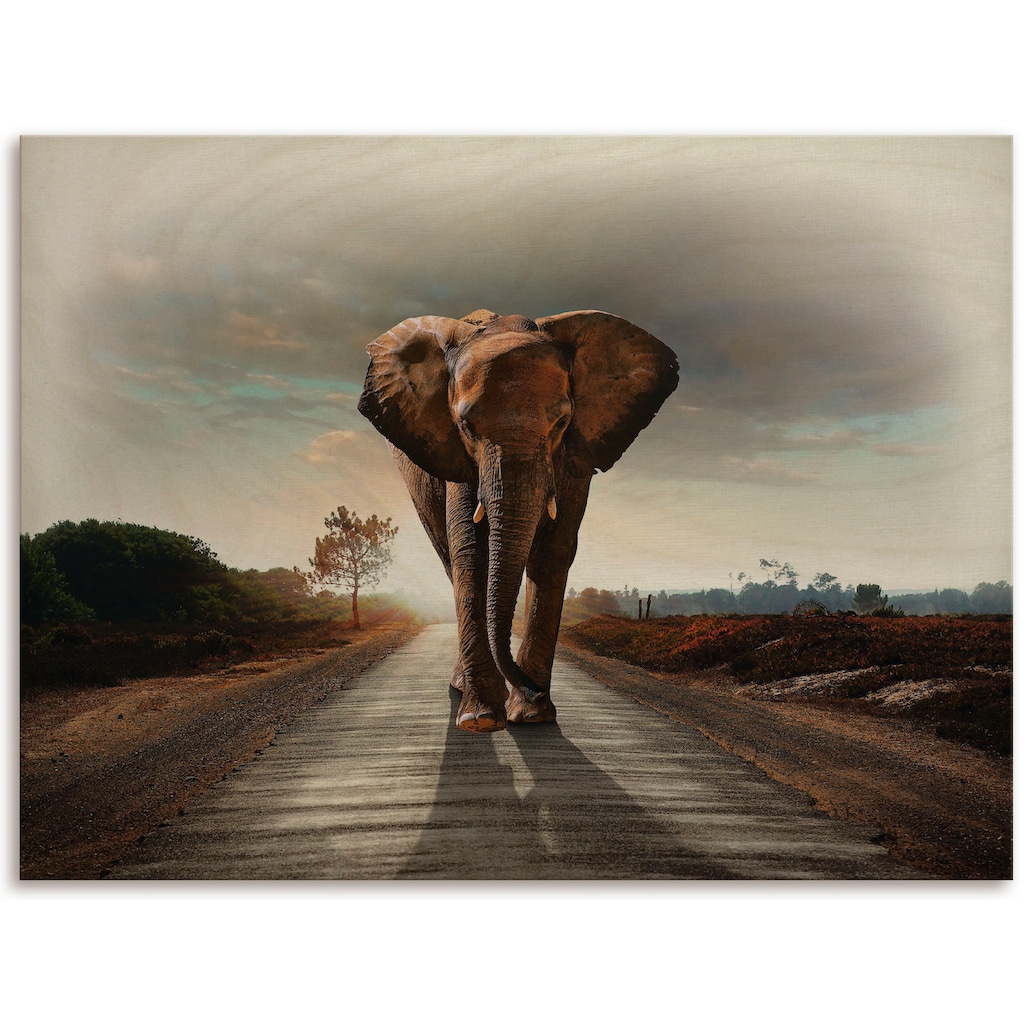 Artland Holzbild »Ein Elefant läuft auf der Straße«, (1 St.)