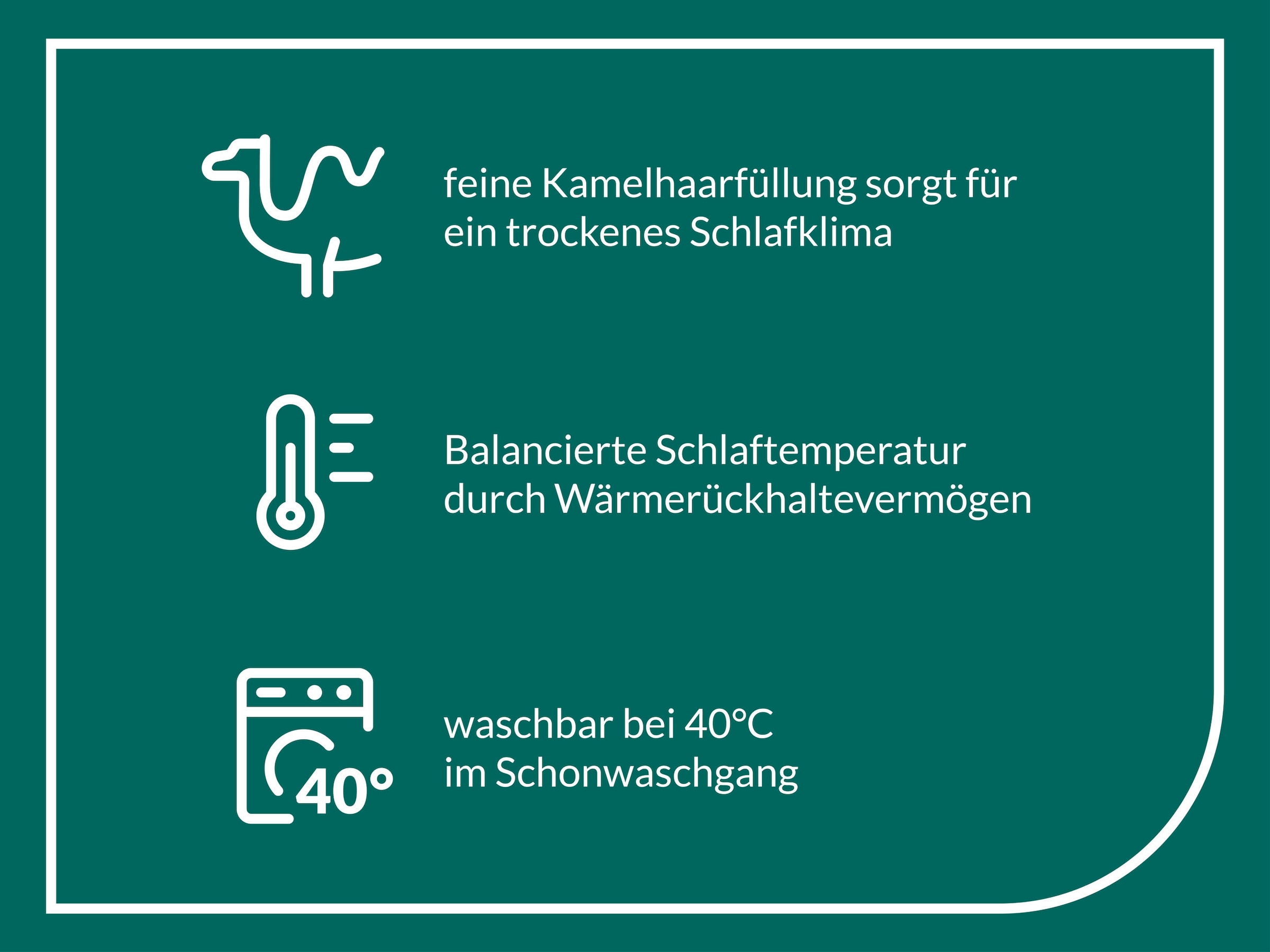 fan Naturhaarbettdecke »Gobi, Bettdecken für Sommer und Winter, Decke«, 4-Jahreszeiten, Füllung Kamelhaar, Bezug Baumwolle, (1 St.), Bettdecke 135x200 cm, 155x220 cm und weiteren Größen, Made in Germany