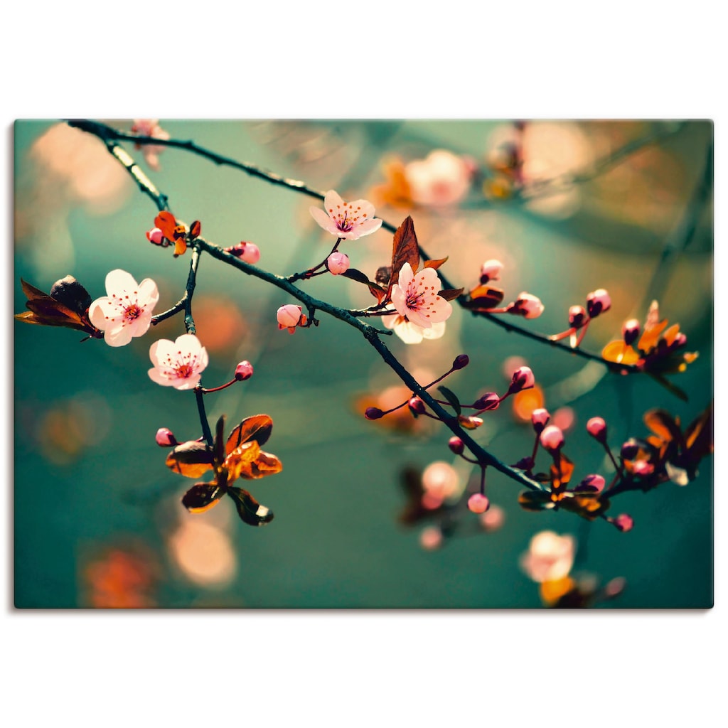 Artland Wandbild »Japanische Kirsch Sakura Blumen«, Blumen, (1 St.)