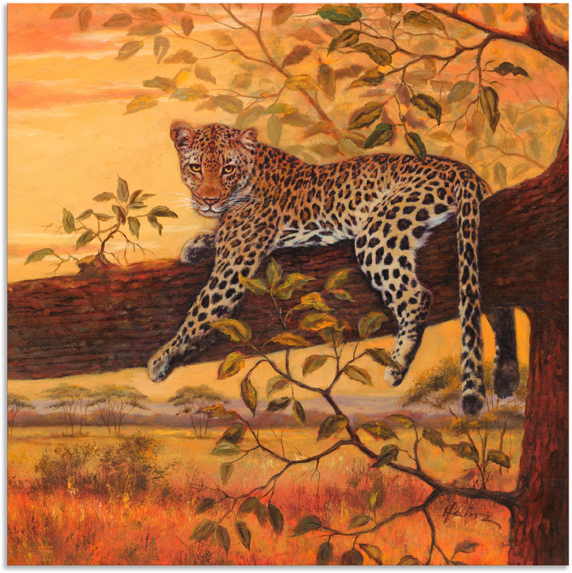 Artland Wandbild »Ruhender Leopard«, Wildtiere, (1 St.), in vielen Größen & Produktarten - Alubild / Outdoorbild für den Außenbereich, Leinwandbild, Poster, Wandaufkleber / Wandtattoo auch für Badezimmer geeignet