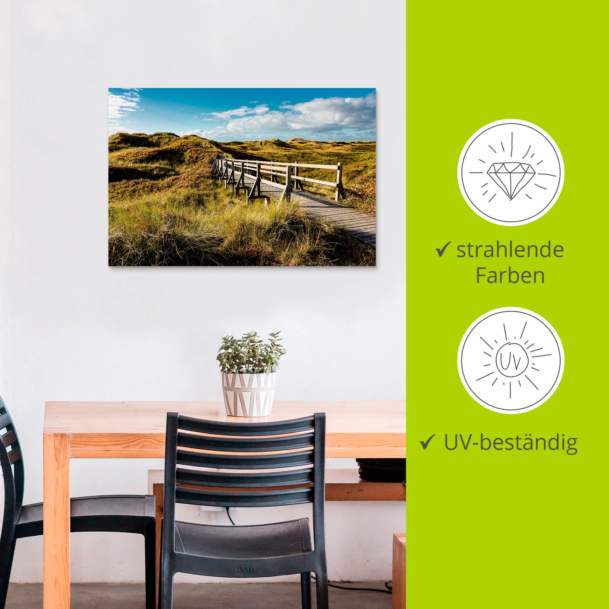 Artland Wandbild »Landschaft in den Dünen Insel Amrum«, Küste, (1 St.), als Alubild, Outdoorbild in verschied. Größen