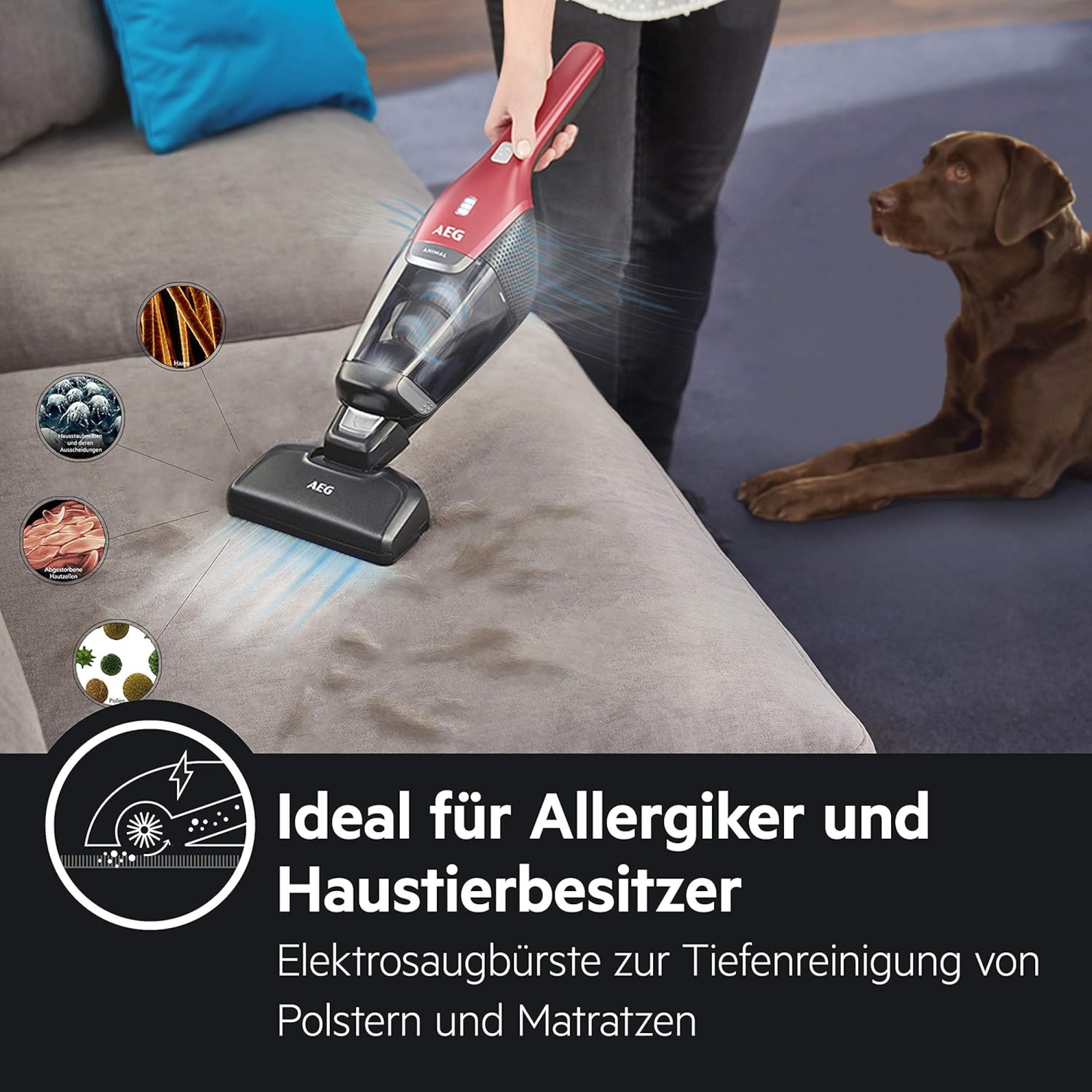 AEG Akku-Hand-und Stielstaubsauger »CX7 ANIMAL AKKU-STAUBSAUGER (CX7-2-45AN)« 2in1-Funktion, ideal zur Tierhaarentfernung, bis zu 45 Min. Laufzeit