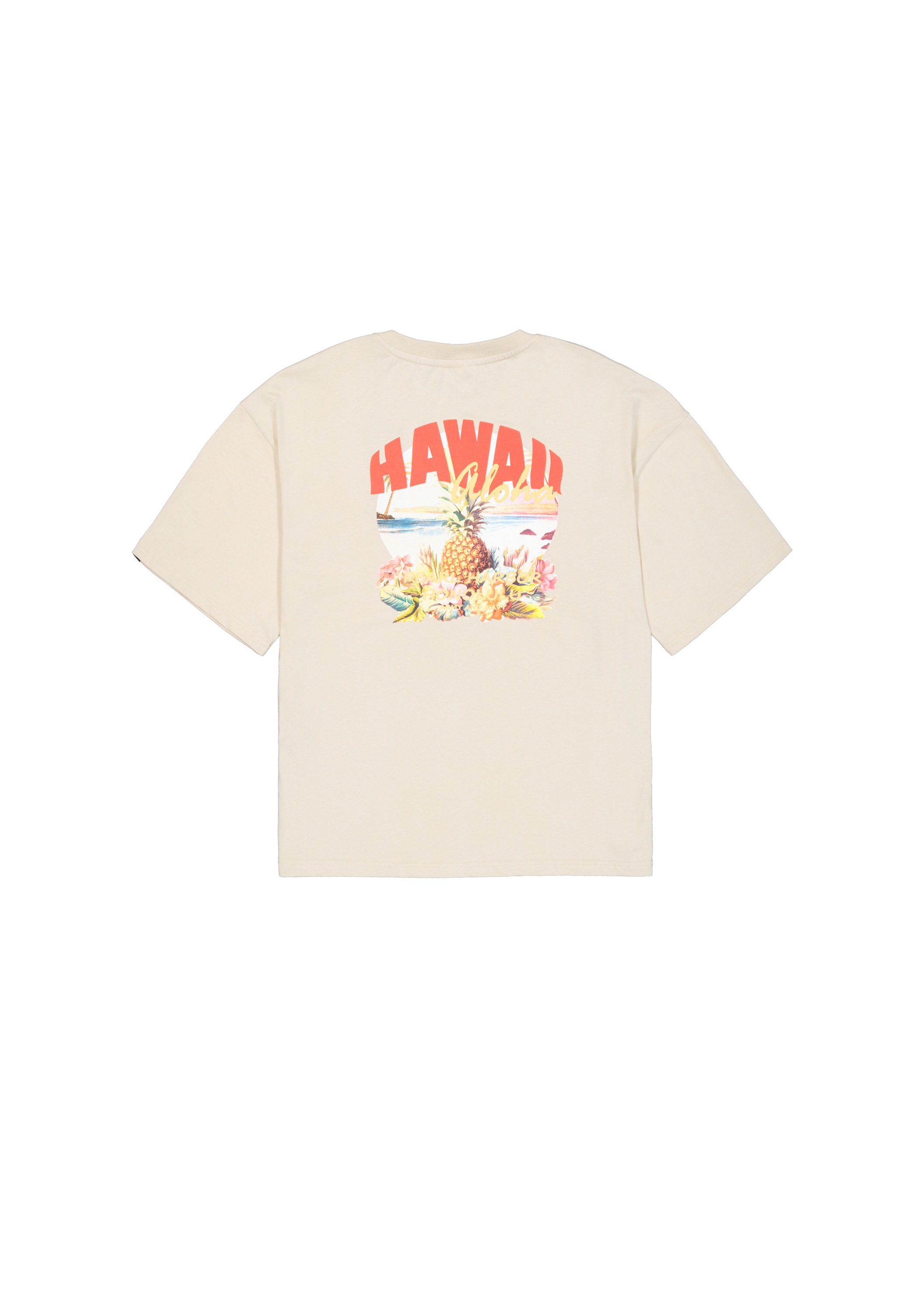 Alpha Industries T-Shirt »Hawaii Aloha Backprint T-Shirt T-Shirt«