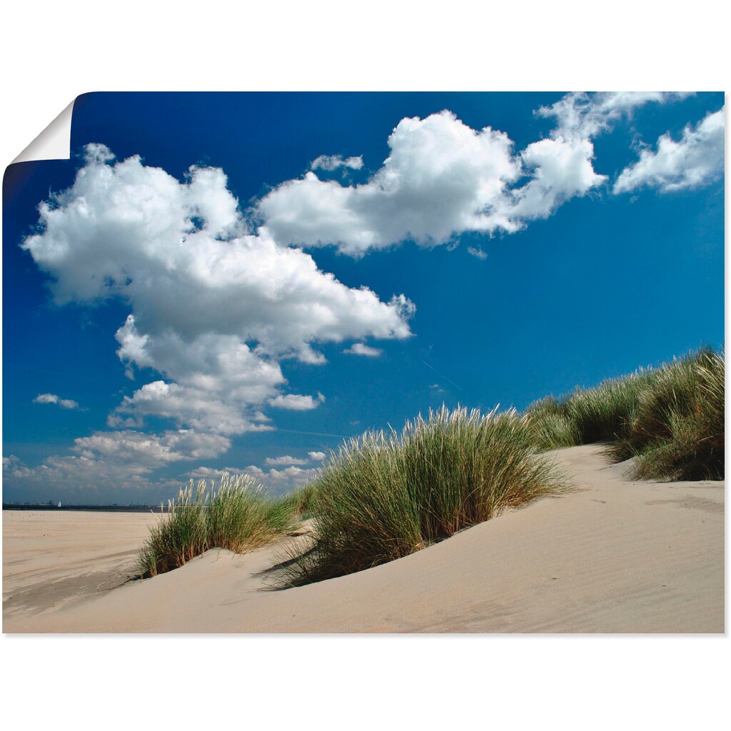 Artland Poster »Himmel, Dünen und Meer«, Strand, (1 St.)