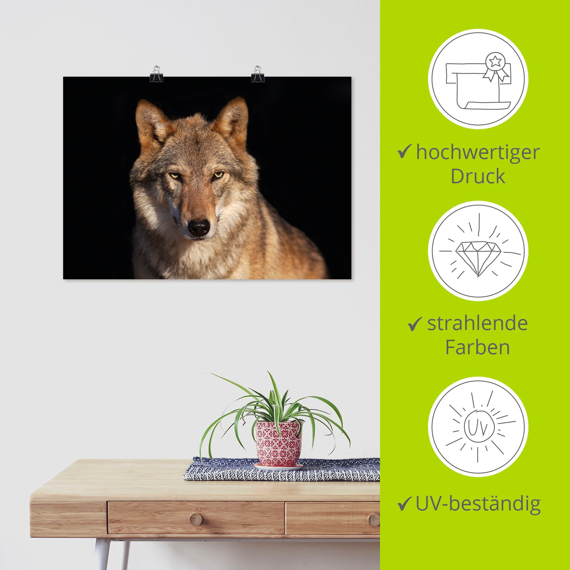 Artland Poster »Wolf«, Wildtiere, (1 St.), als Alubild, Leinwandbild, Wandaufkleber oder Poster in versch. Größen