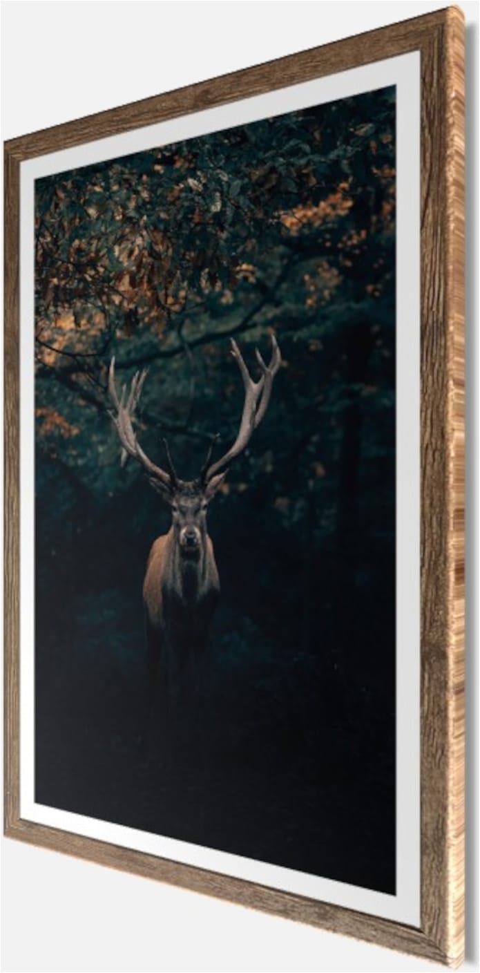 Bönninghoff Bild mit Rahmen »Wandbild gerahmt HIRSCH 50x70 cm – Edles Waldmotiv dunkle Farben« Hirsch | Landschaft | Natur | Tiere | Wald | mystischer Wald 1 Stk. tlg. mit dekorativem Rahmen