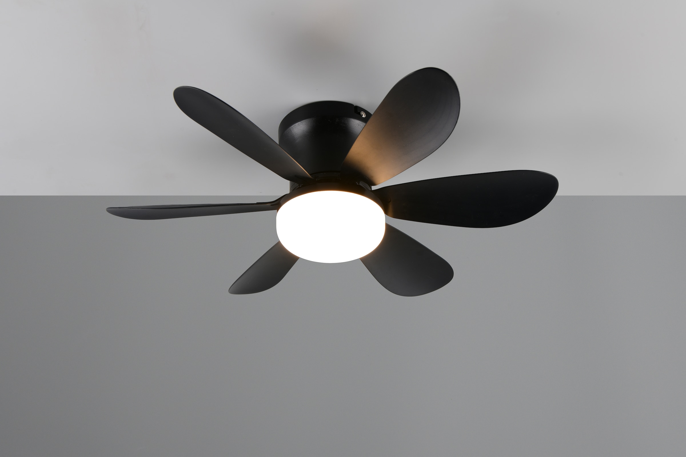 REALITY Leuchten LED Deckenleuchte »LUND mit Ventilator, Deckenventilator mit Licht inkl Fernbedienung« LED-Board 1 Stk. warmweiß - kaltweiß 3 Geschwindigkeiten Timer Vor- & Rücklauf LED dimmbar CCT Nachtlicht