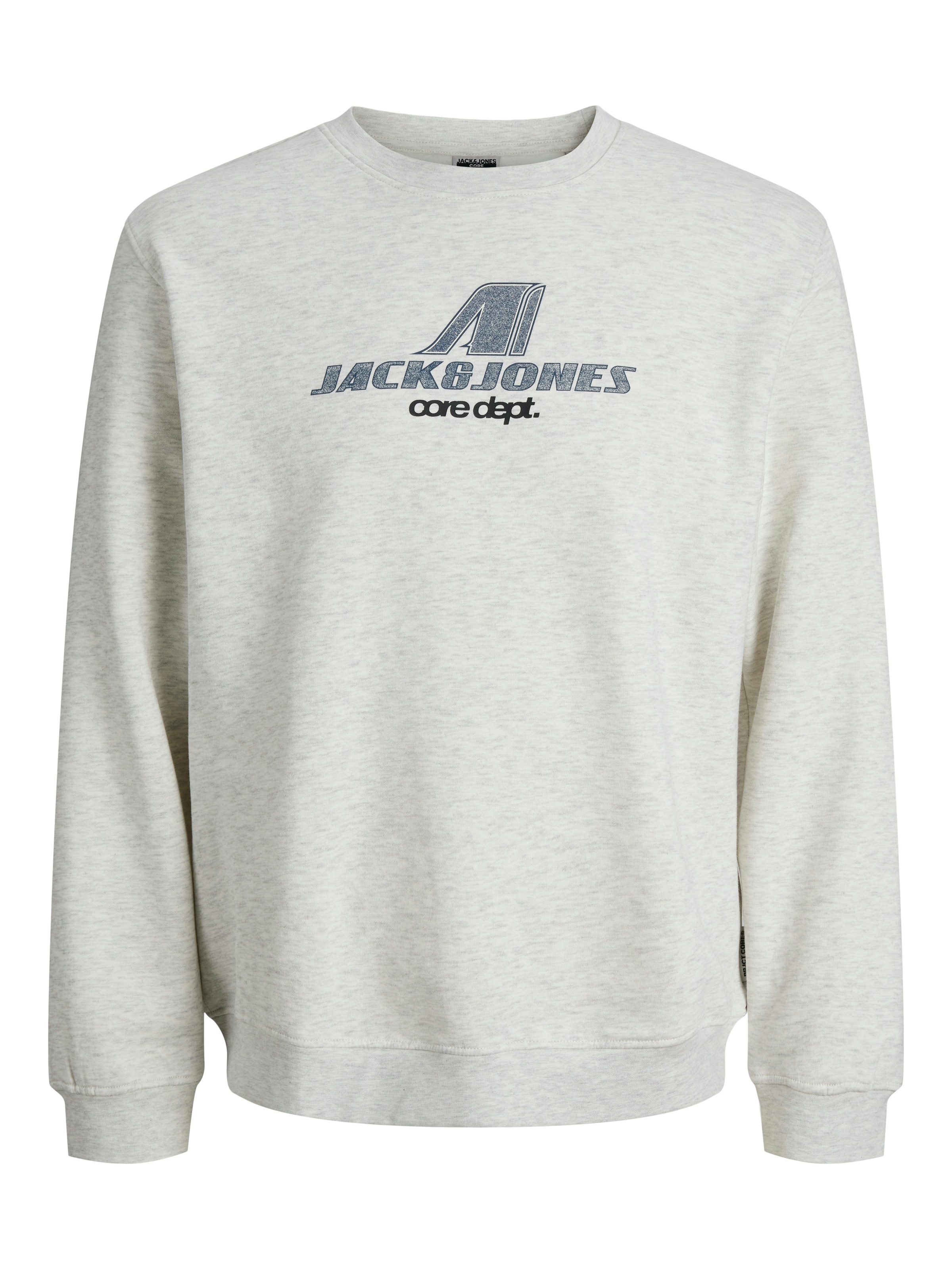 Jack & Jones Sweatshirt »JCOTIER PRINT SWEAT CREW NECK«