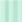 mint mint