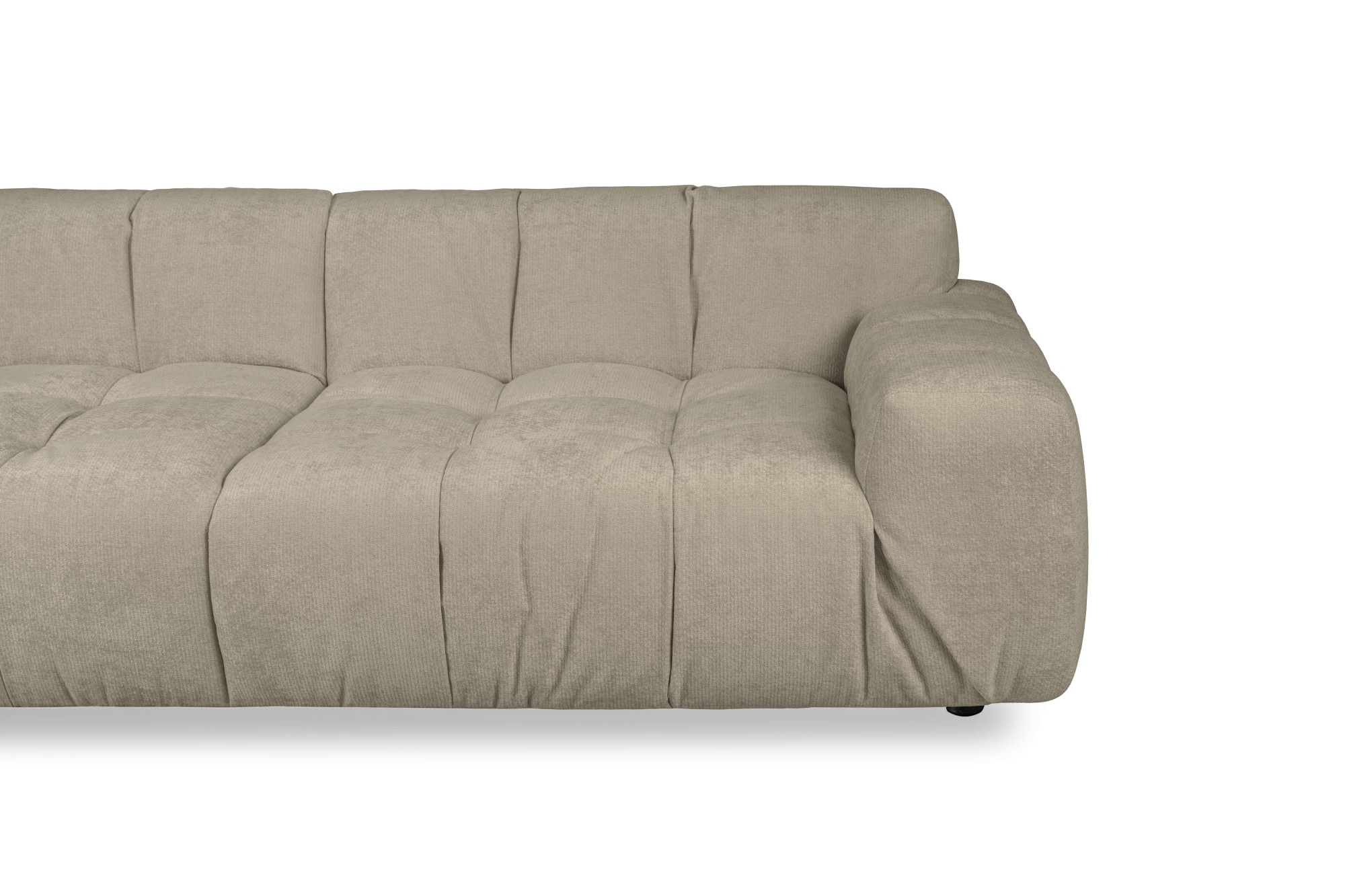 INOSIGN 3-Sitzer »Calmara, Breite 286 cm, weicher Lounge-Sitzkomfort«, bodentief, Samt oder Chenille, mit Knopfsteppung