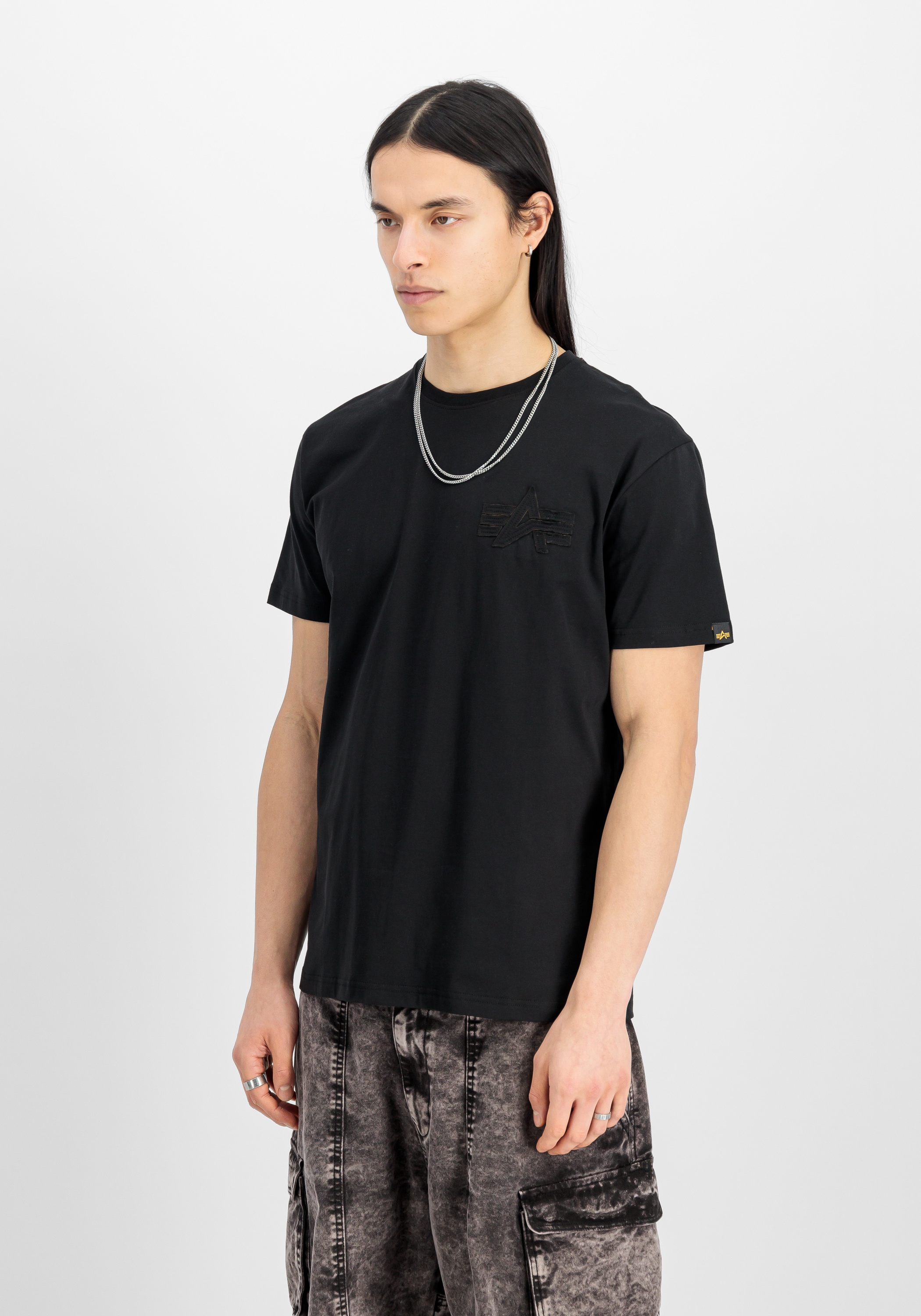 Alpha Industries T-Shirt »Coach T-Shirt Back Embroidery T-Shirt«