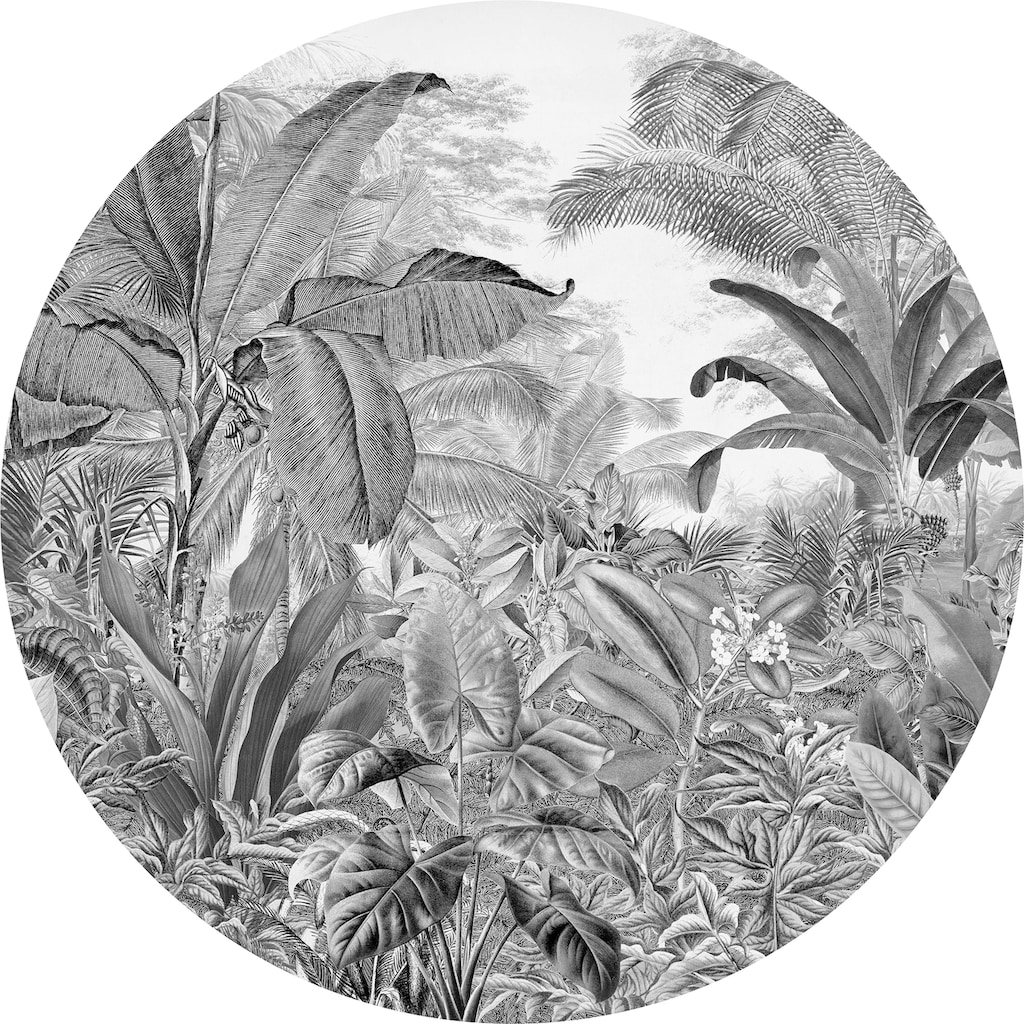 Komar Fototapete »Wild Woods«, Comic-botanisch, 125 x 125 cm
