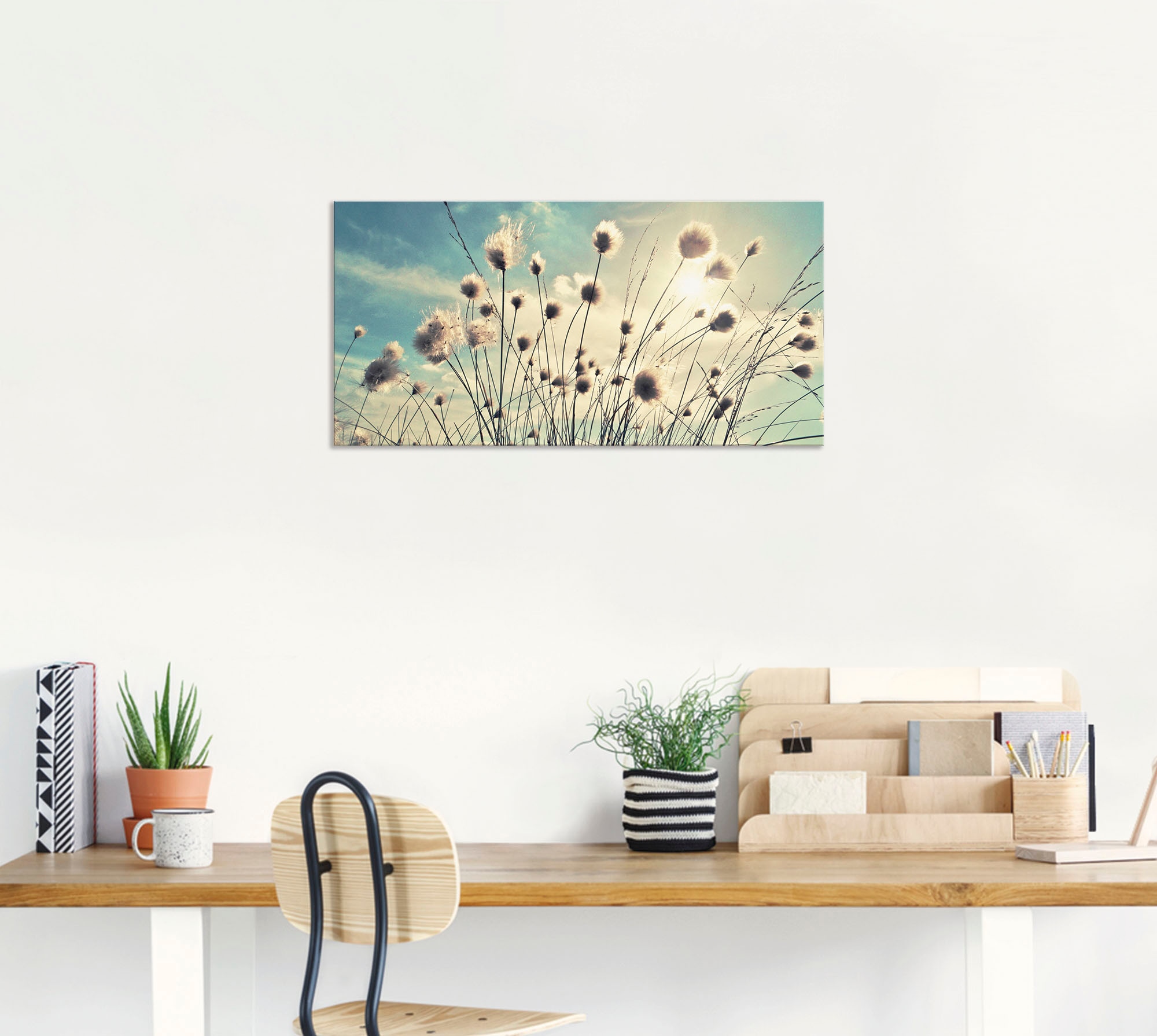 Artland Wandbild »Wollgras«, Gräser, (1 St.), als Alubild, Outdoorbild, Leinwandbild, Poster, Wandaufkleber