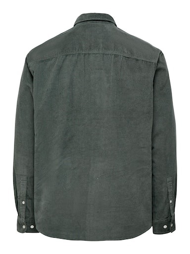 ONLY & SONS Langarmhemd »OS ONSALP RLX 2PKT WASHD COR«
