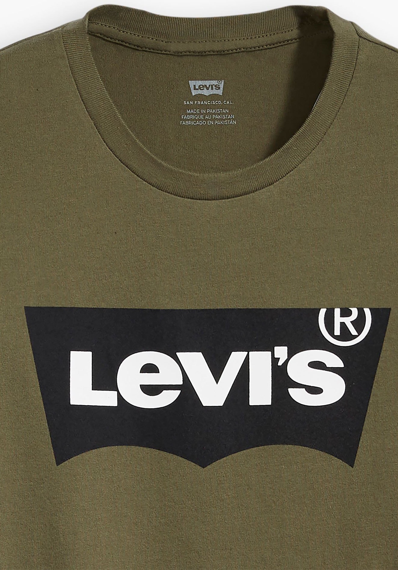 Levi's® Plus T-Shirt »LE B&T BIG GRAPHIC TEE«, mit Logofrontprint