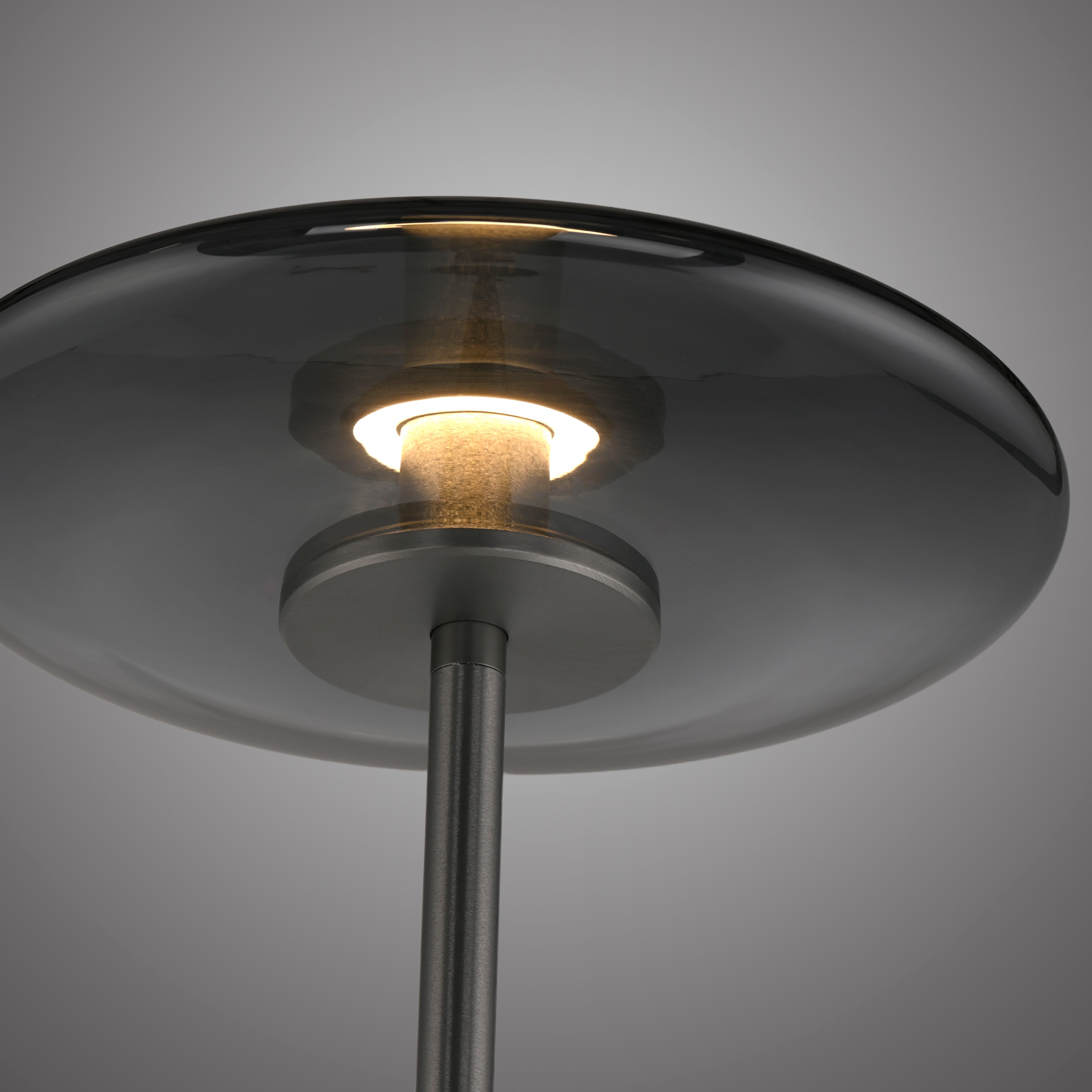 Neuhaus PURE LED Stehlampe »PURE Vitrum« LED-Board 1 Stk. Warmweiß Dimmbar über Touchdimmer