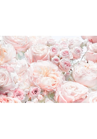 Komar Fototapete »Spring Roses«, bedruckt-Wald-geblümt, ausgezeichnet lichtbeständig kaufen