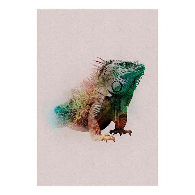 Komar Poster »Animals Paradise Iguana«, Tiere, (1 St.), Kinderzimmer,  Schlafzimmer, Wohnzimmer kaufen online bei OTTO