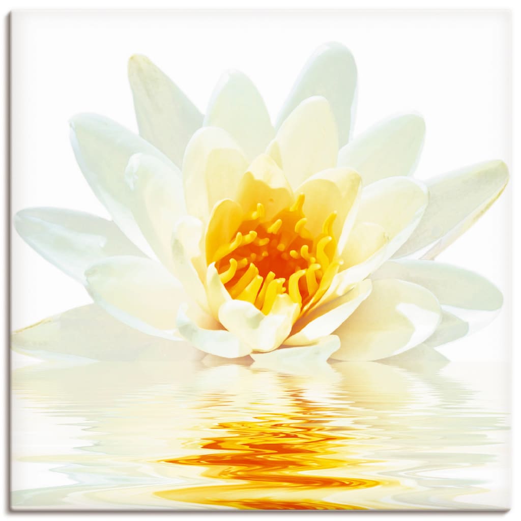 Artland Wandbild »Lotusblume schwimmt im Wasser«, Blumen, (1 St.)