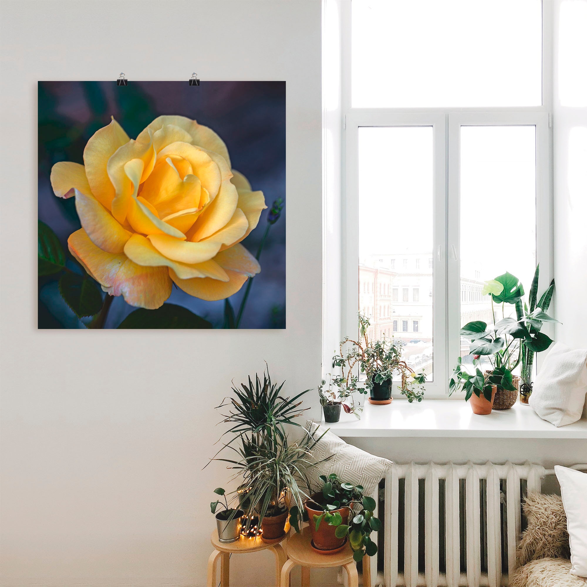 Artland Poster »Gelbe Rose« Blumen 1 Stk. tlg. ohne Rahmen