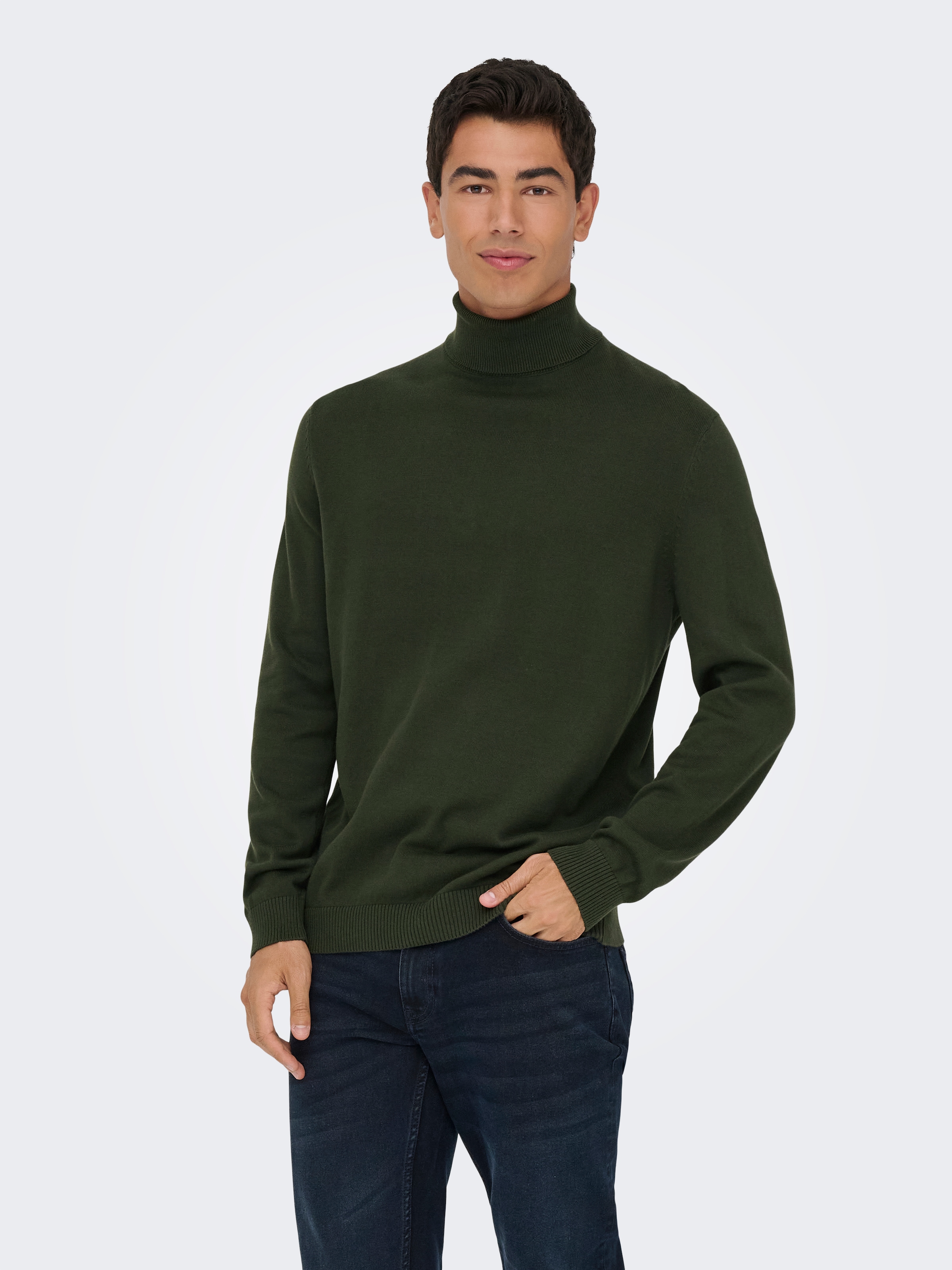 ONLY & SONS Rollkragenpullover »ONSHOLGER REG ROLL NECK KNIT - OTL«
