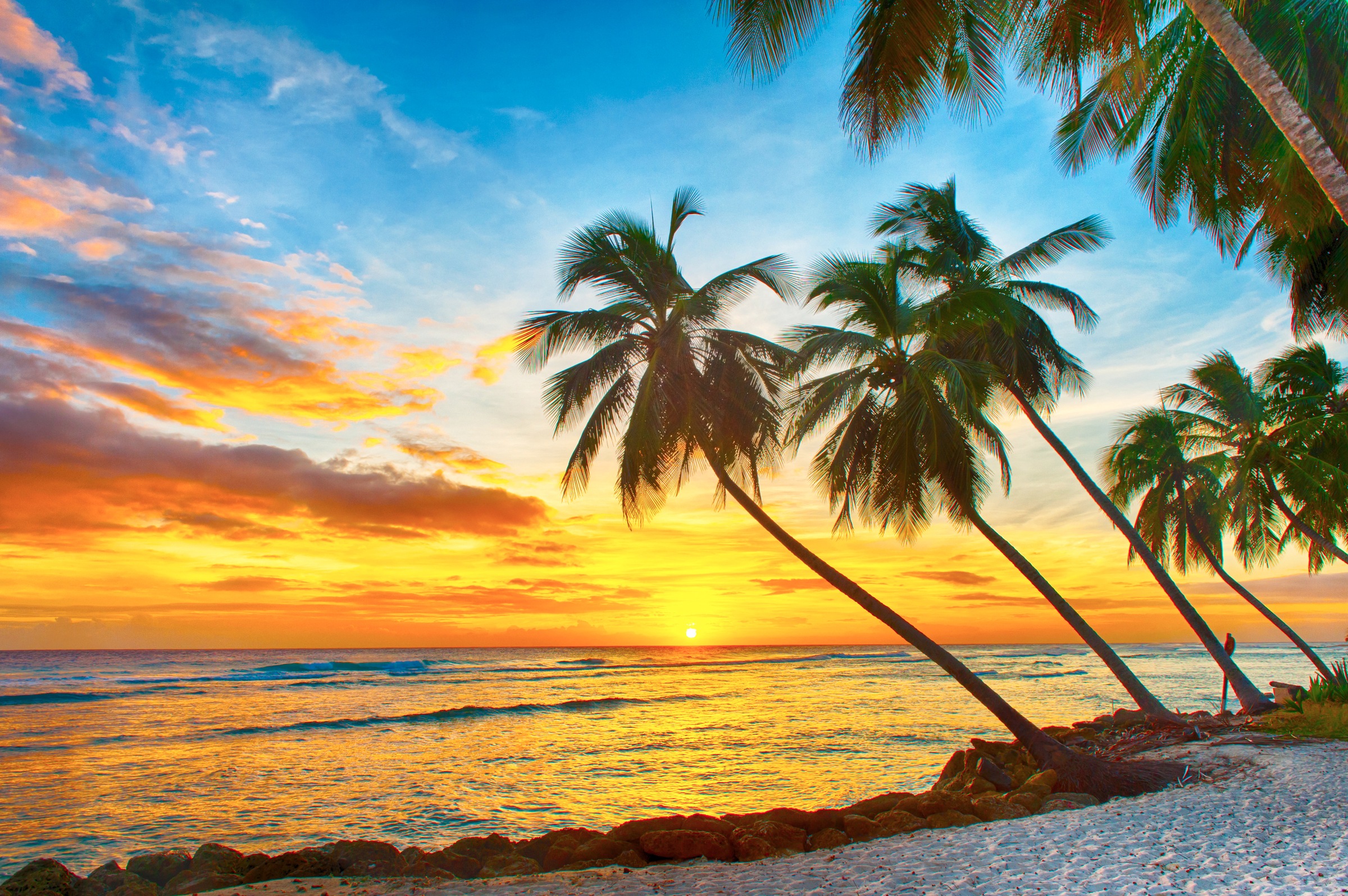 Papermoon Fototapete »Barbados Palm Beach«