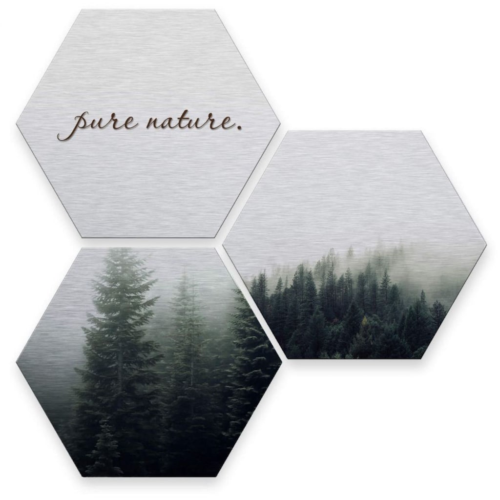 Wall-Art Mehrteilige Bilder »Silber Effekt Pure Nature Wald«, Pflanzen, (Set, 3 St.)