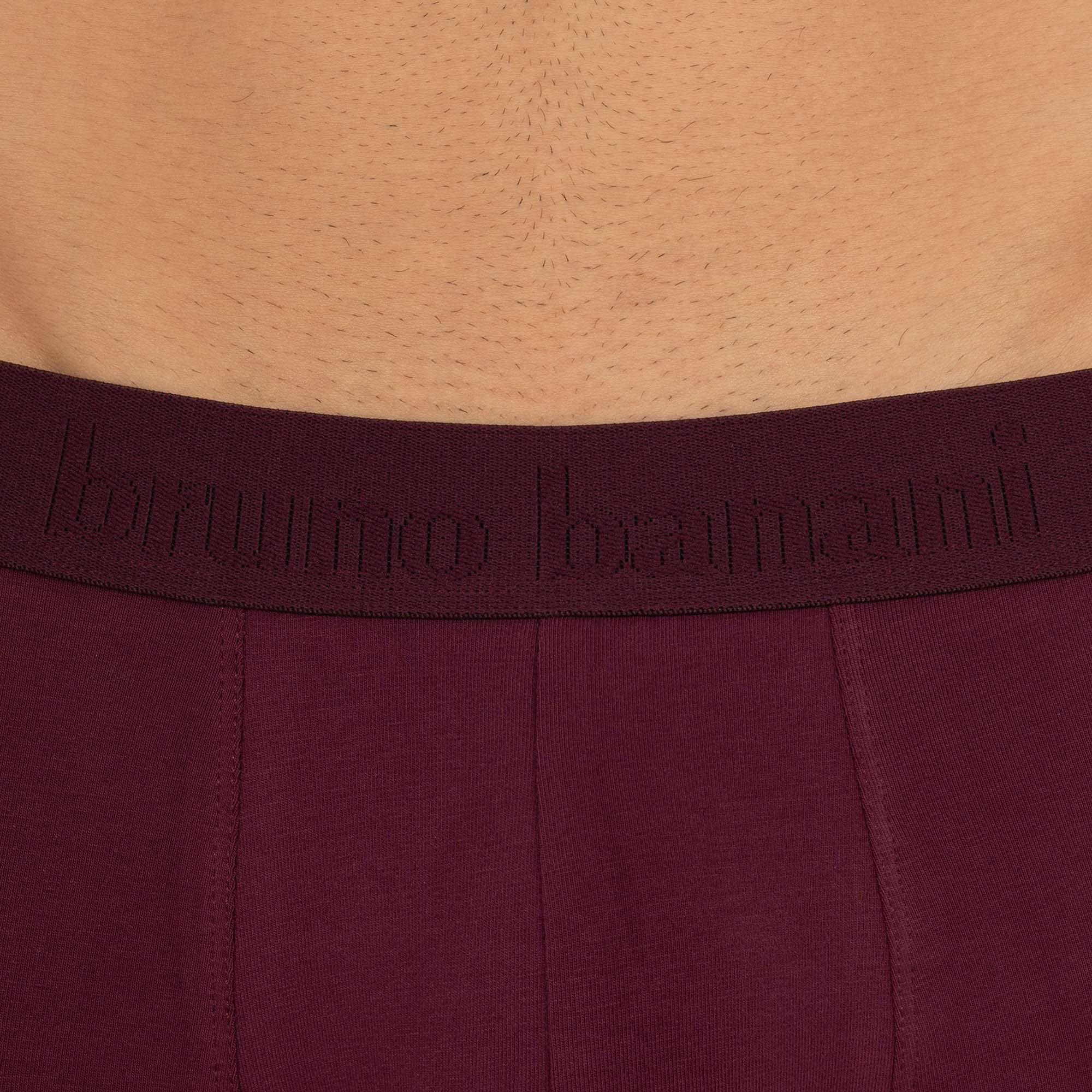 Bruno Banani Boxershorts »FLOWING«, (2er Pack), mit kontrastfarbenem Bündchen
