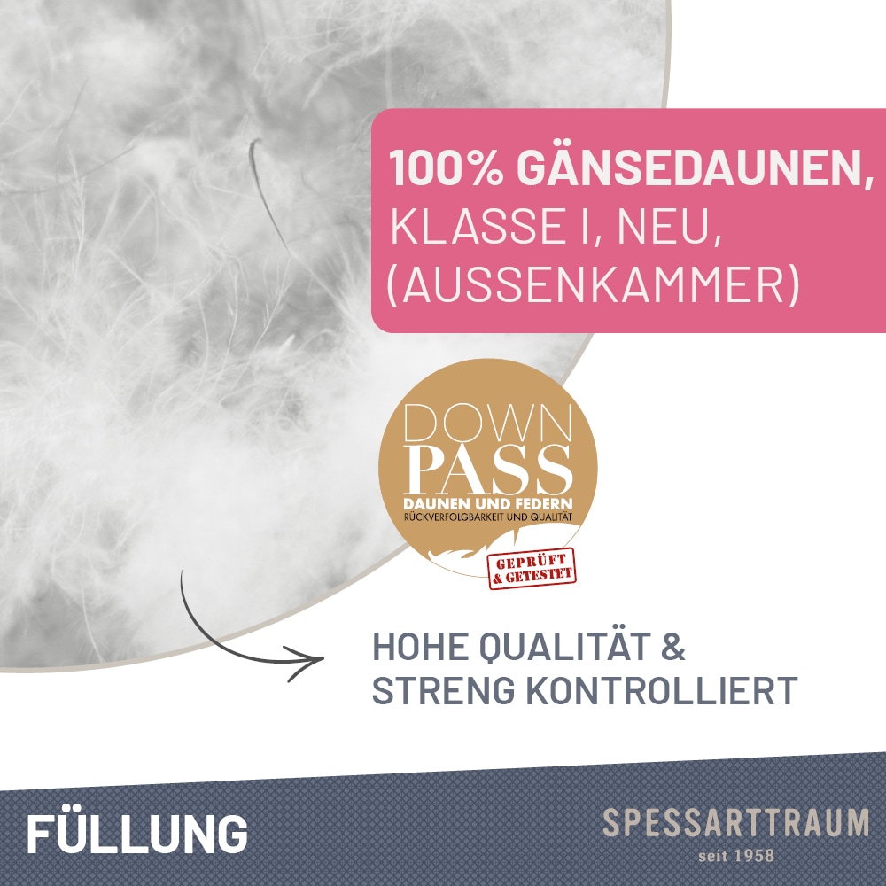 SPESSARTTRAUM 3-Kammer-Kopfkissen »Premium«, Füllung: 100% Gänsedaunen, Klasse 1, Downpass zertifiziert (Aussenkammern), Bezug: 100% Baumwolle, nachhaltig (Made in Green), Hausstauballergiker geeignet, (1 St.), gute Stützkraft