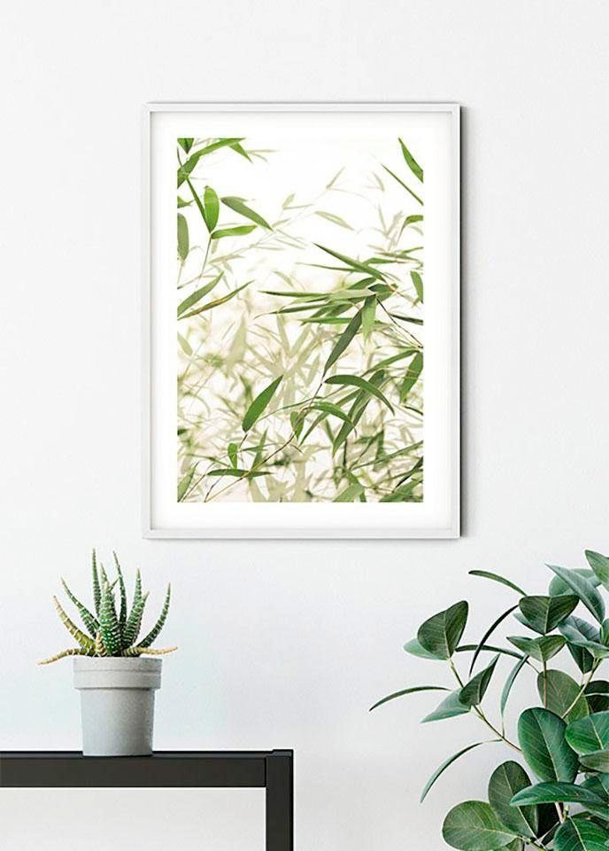Komar Bild »Bamboo Leaves« Blätter | Pflanzen 1 Stk. tlg. Wandbild zur Dekoration - ohne Rahmen