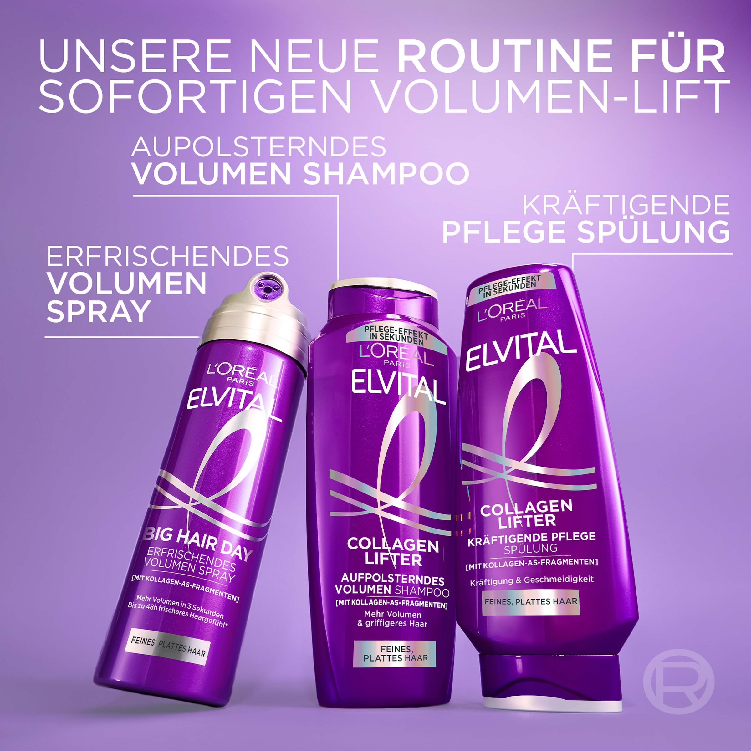 L'ORÉAL PARIS Haarshampoo »L'Oréal Paris Elvital Collagen Lifter Shampoo 6er Packung«
