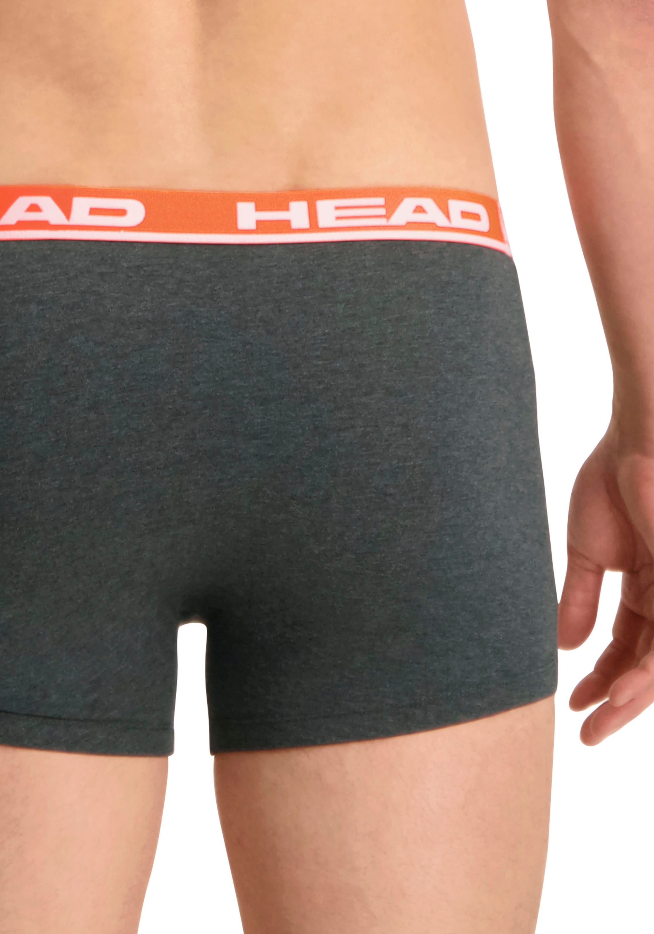 Head Boxershorts »HEAD BASIC BOXER 2P«, (2er Pack), mit elastischem Logobund