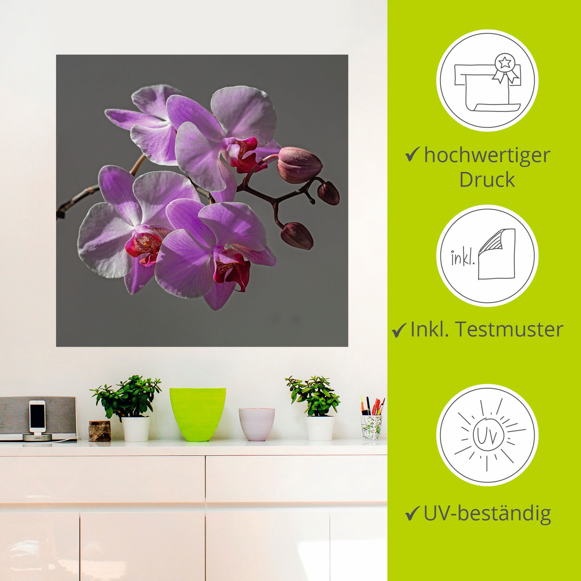 Artland Wandbild »Orchideentraum«, Blumen, (1 St.), als Leinwandbild, Wandaufkleber in verschied. Größen