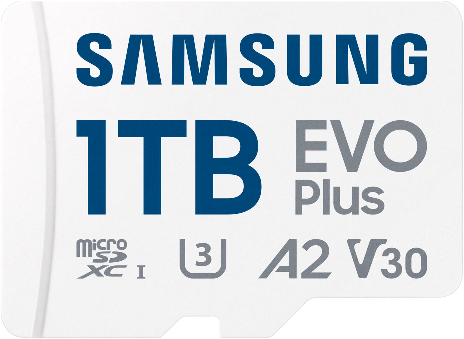 Samsung Speicherkarte »EVO Plus (2024) inkl. SD-Adapter« (1000 GB Video Speed Class 30 (V30)/UHS Speed Class 3 (U3) 160 MB/s Lesegeschwindigkeit)...