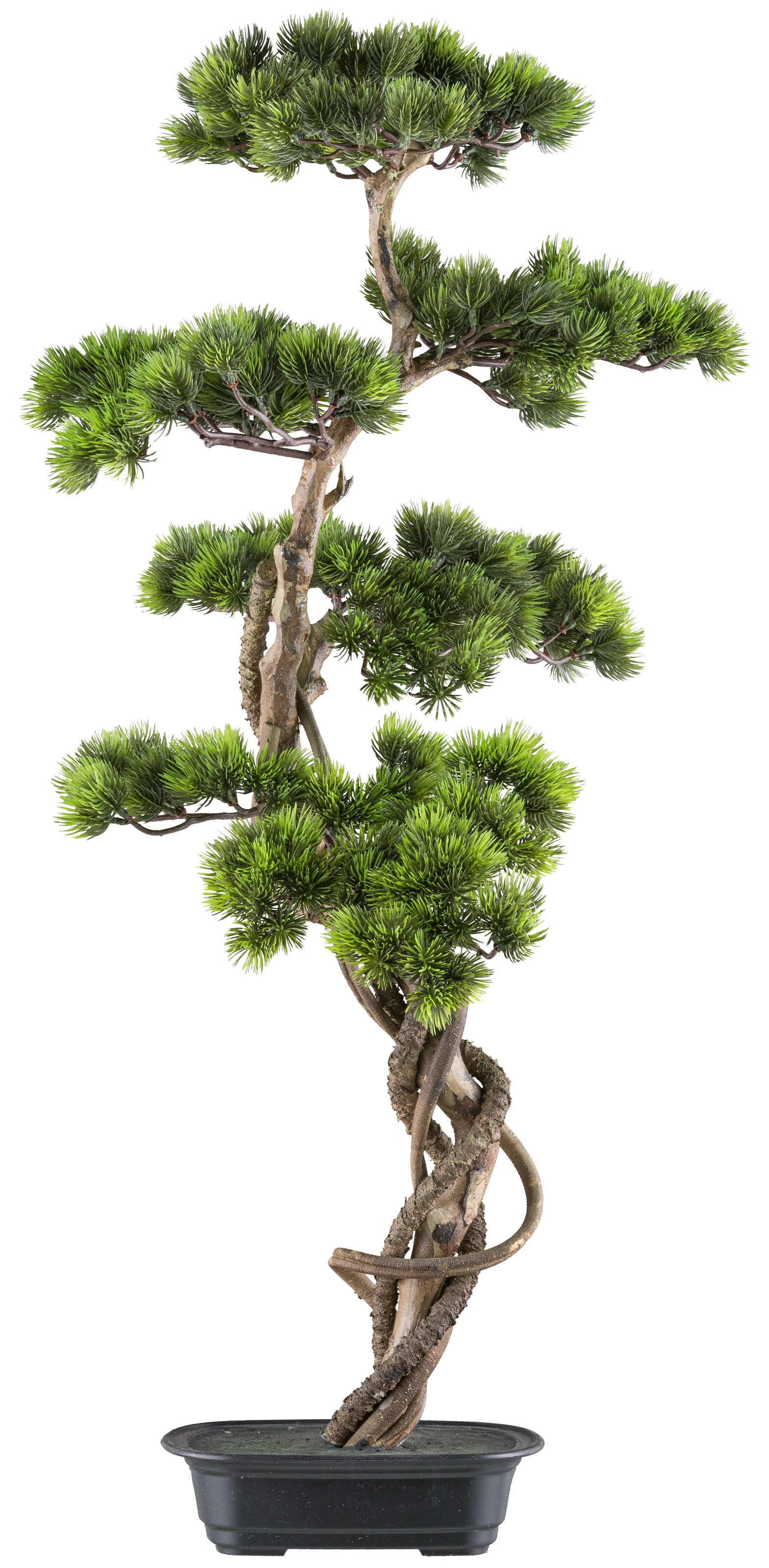 Creativ Green Kunstbonsai »Bonsai Kiefer« mit elegantem Stamm in grün, Größe B/H/L: 40 cm x 90 cm