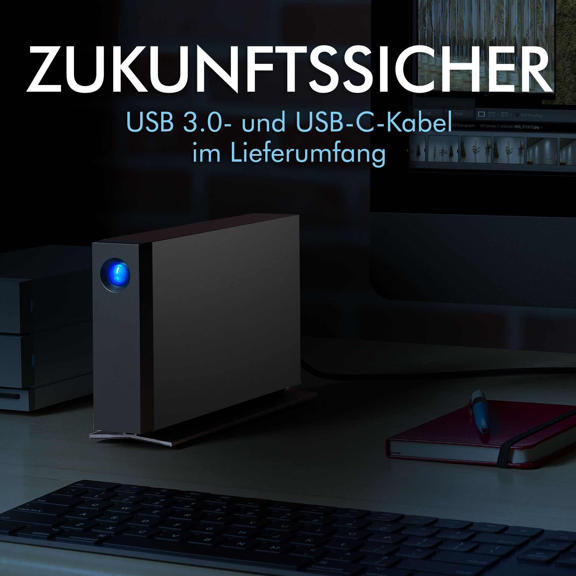 LaCie externe HDD-Festplatte »d2 Professional« 16 TB Anschluss USB-C