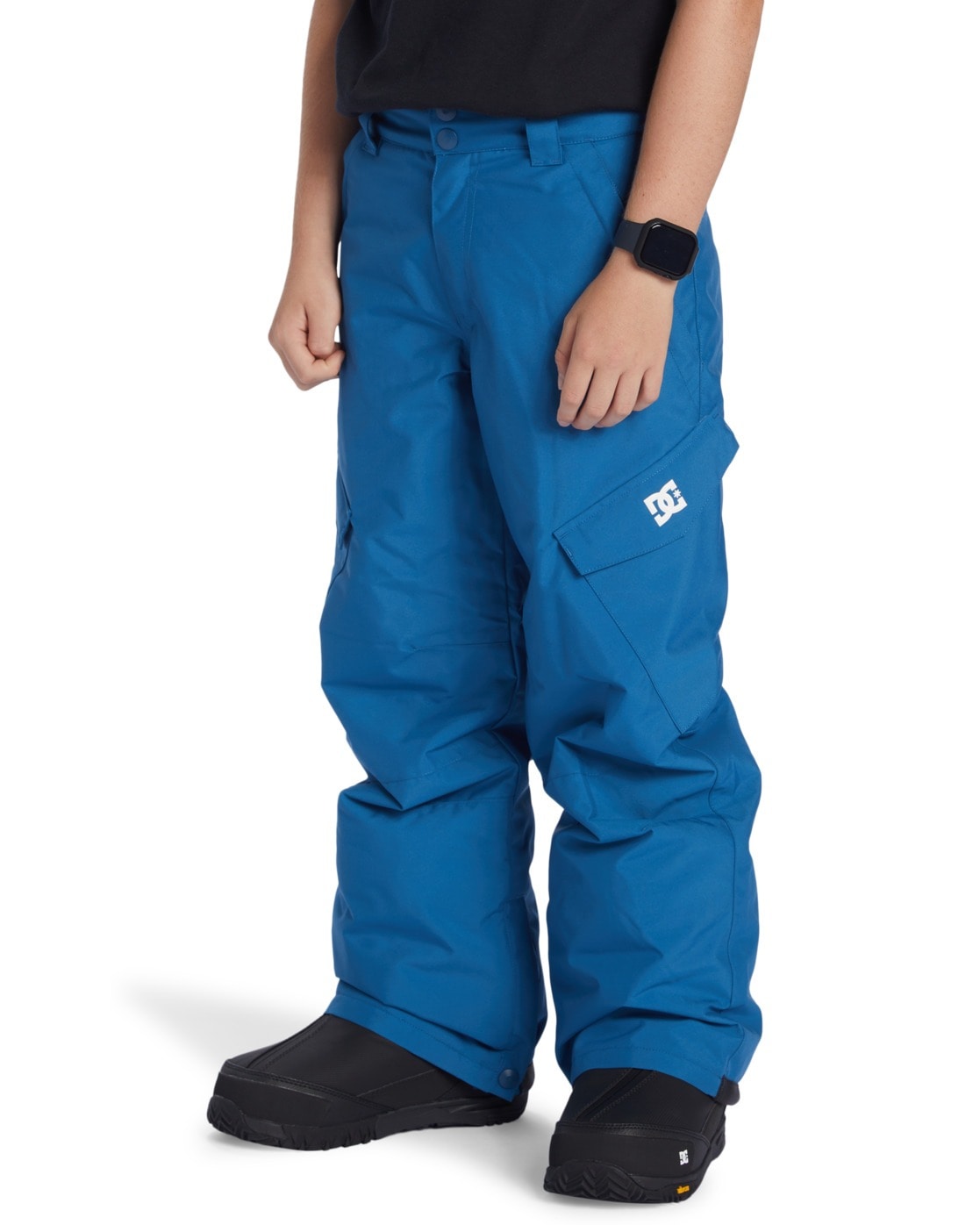 DC Shoes Snowboardhose »Banshee«