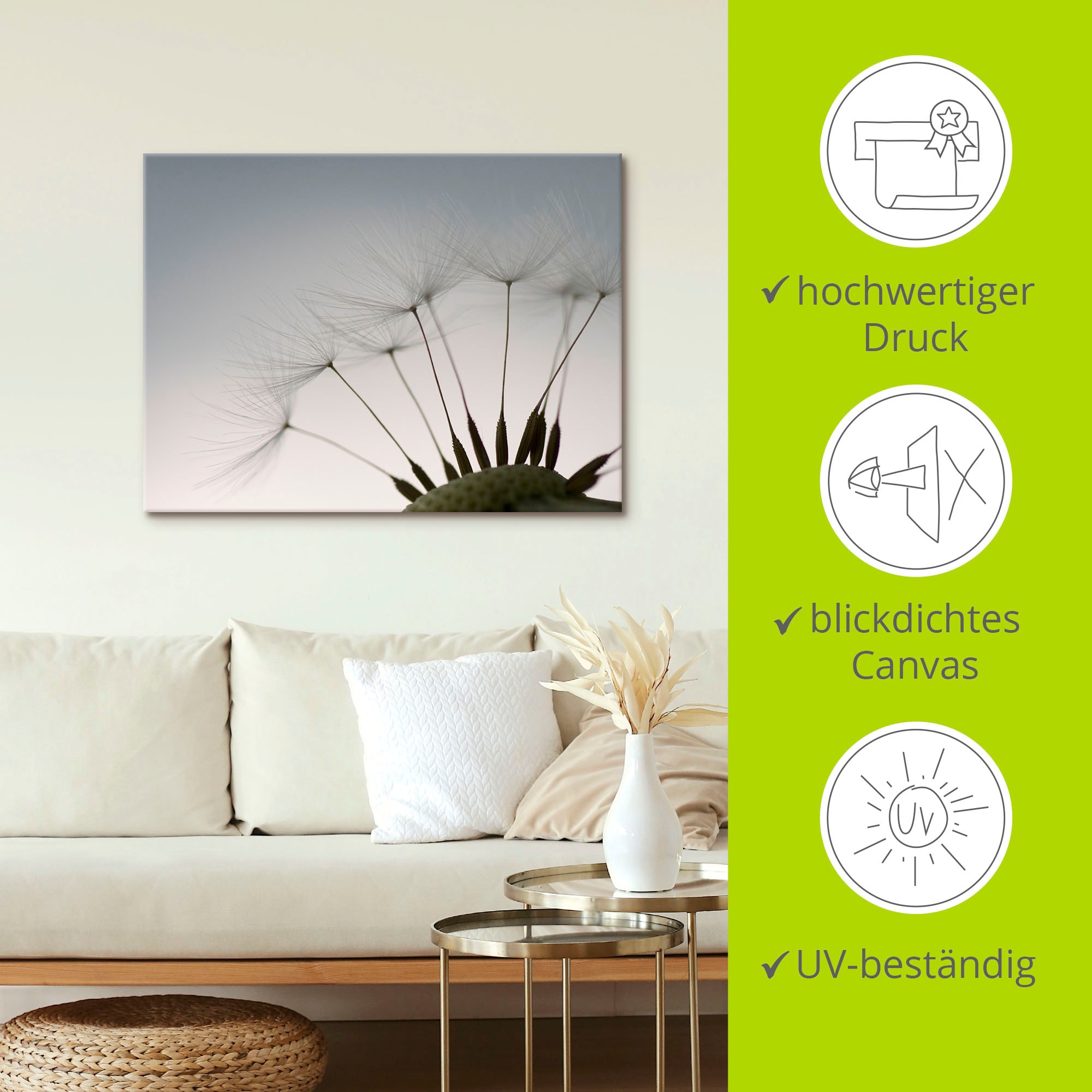 Artland Wandbild »Pusteblumen-Samen I«, Blumen, (1 St.), als Alubild, Outdoorbild, Leinwandbild, Poster in verschied. Größen