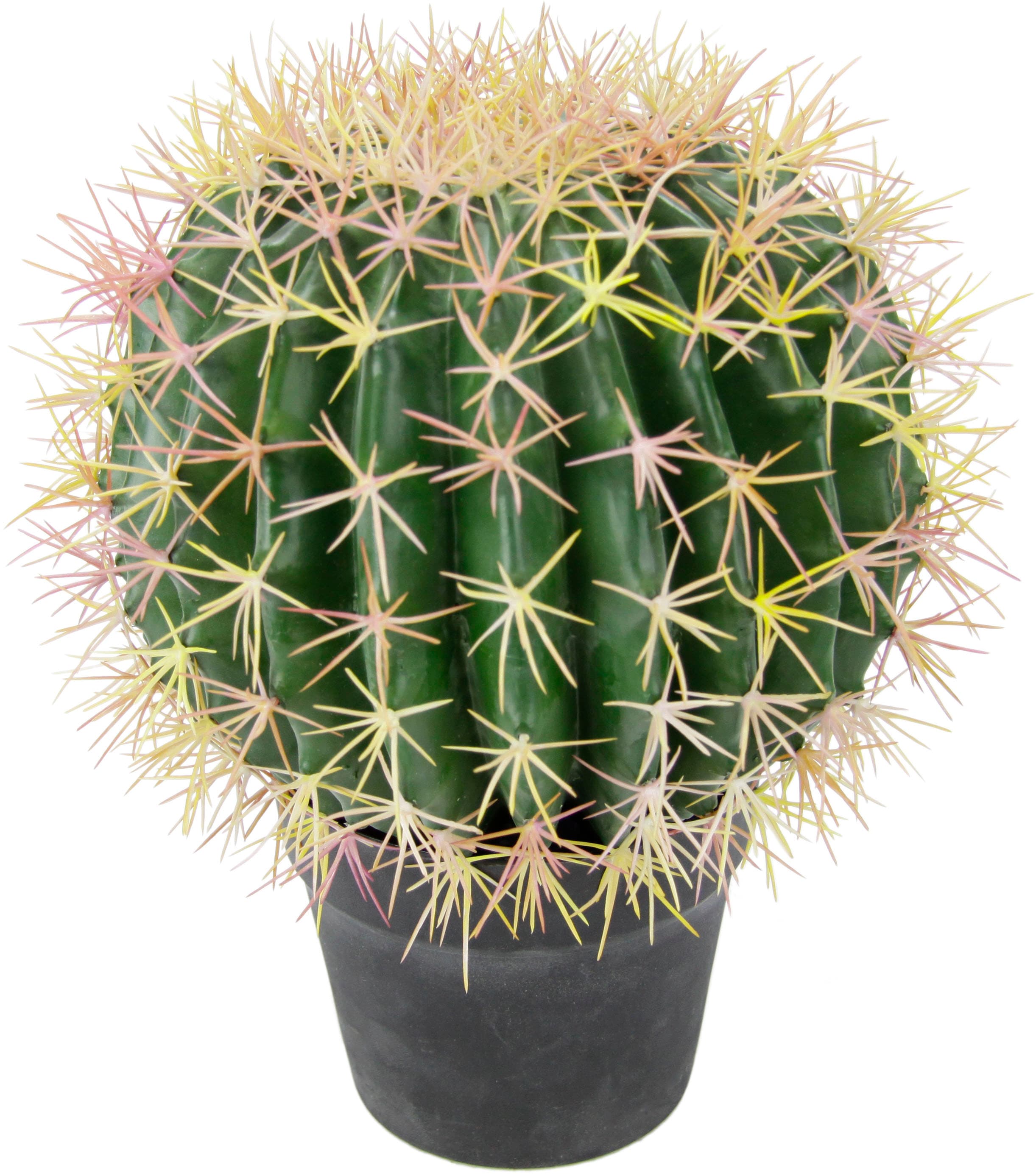 I.Ge.A. Kunstpflanze »Kugelkaktus« 33 cm in grün, Größe B/H/L: 26 cm x 33 cm x 26 cm