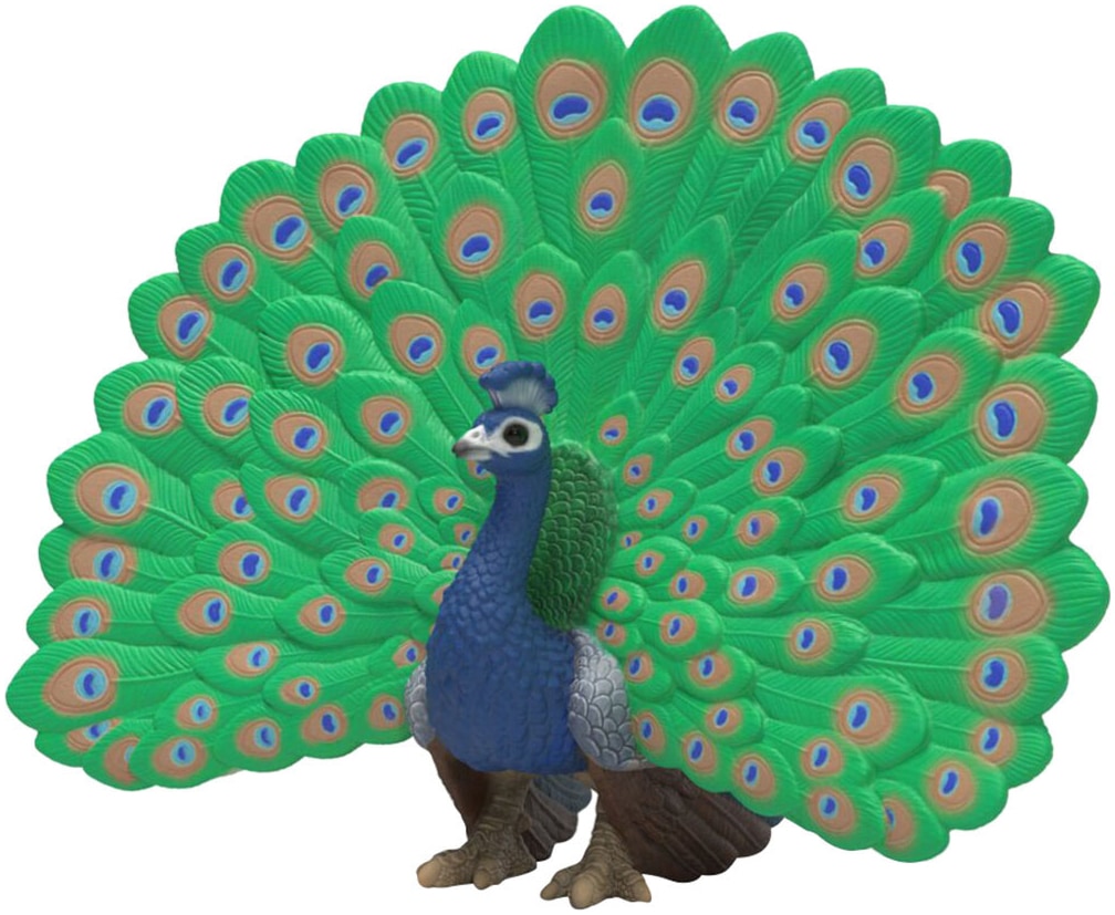 Schleich® Spielfigur »FARM WORLD, Pfau (14926)«