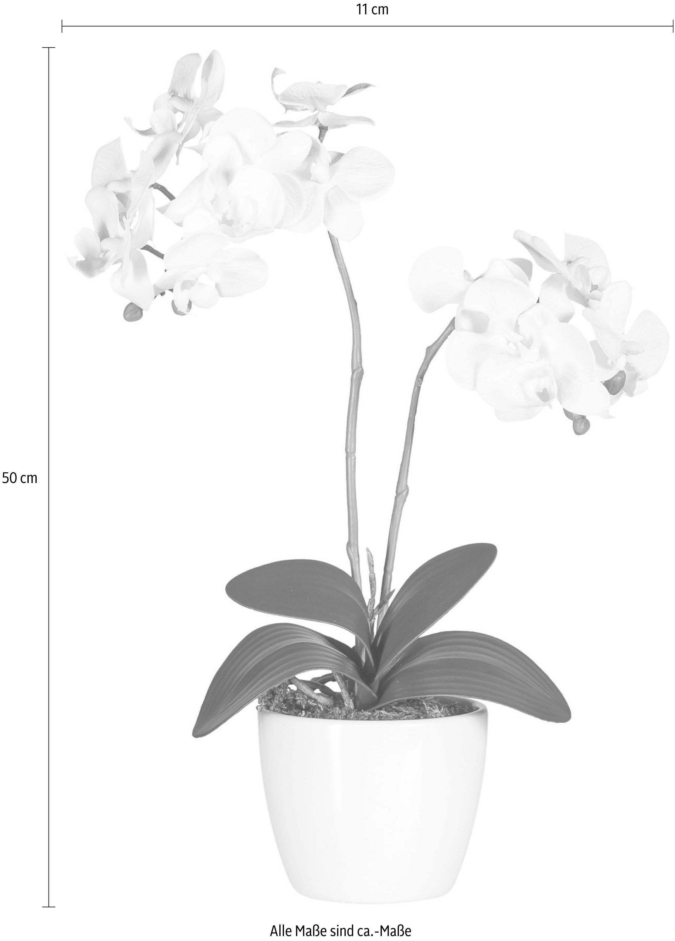 Creativ green Kunstpflanze »Phalaenopsis«