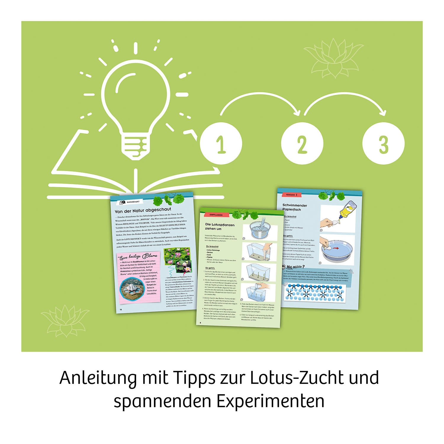 Kosmos Experimentierkasten »Lotusblume«, Made in Germany