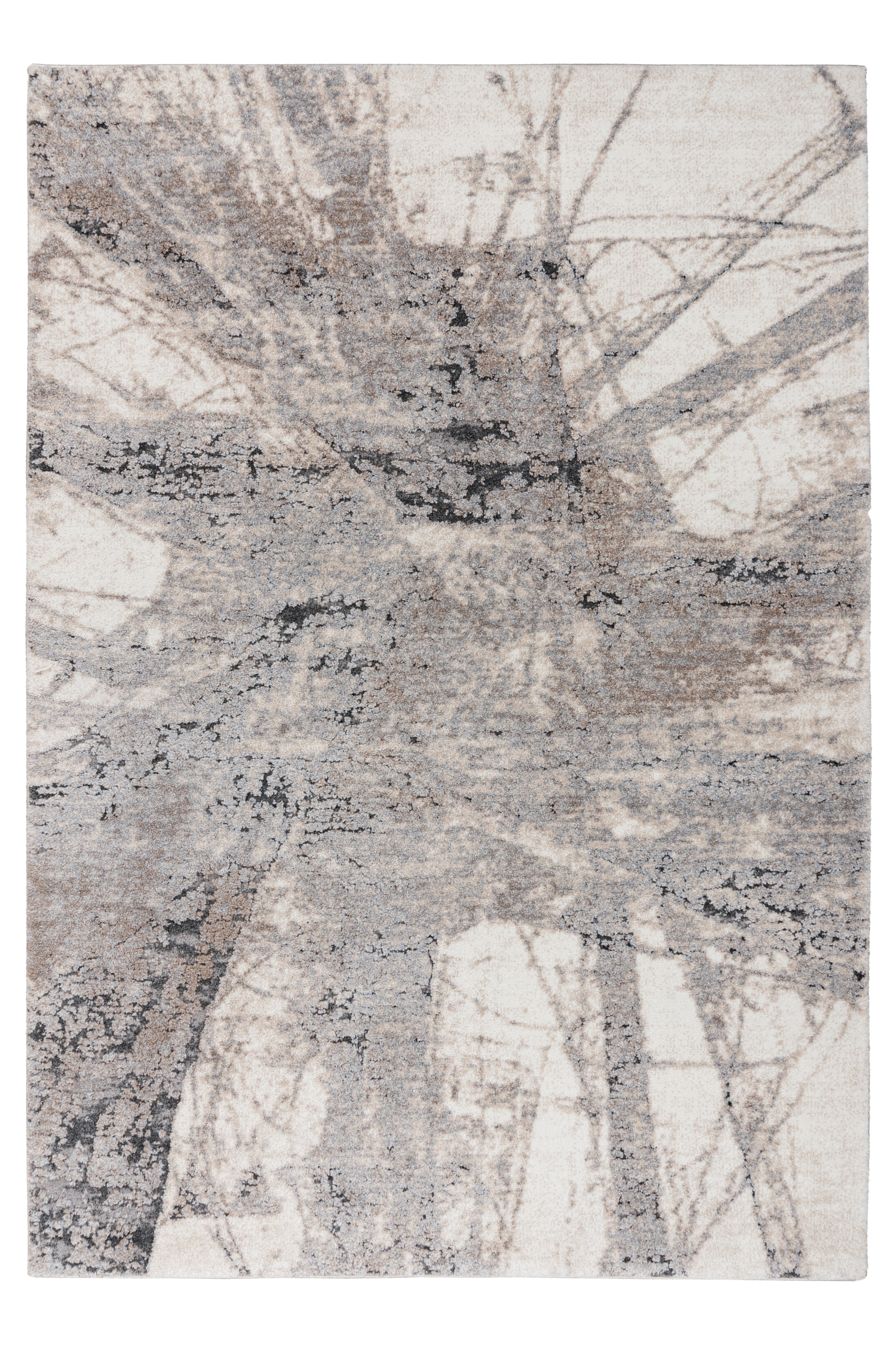 Obsession Teppich »My Bologna 460« rechteckig 22 mm Höhe