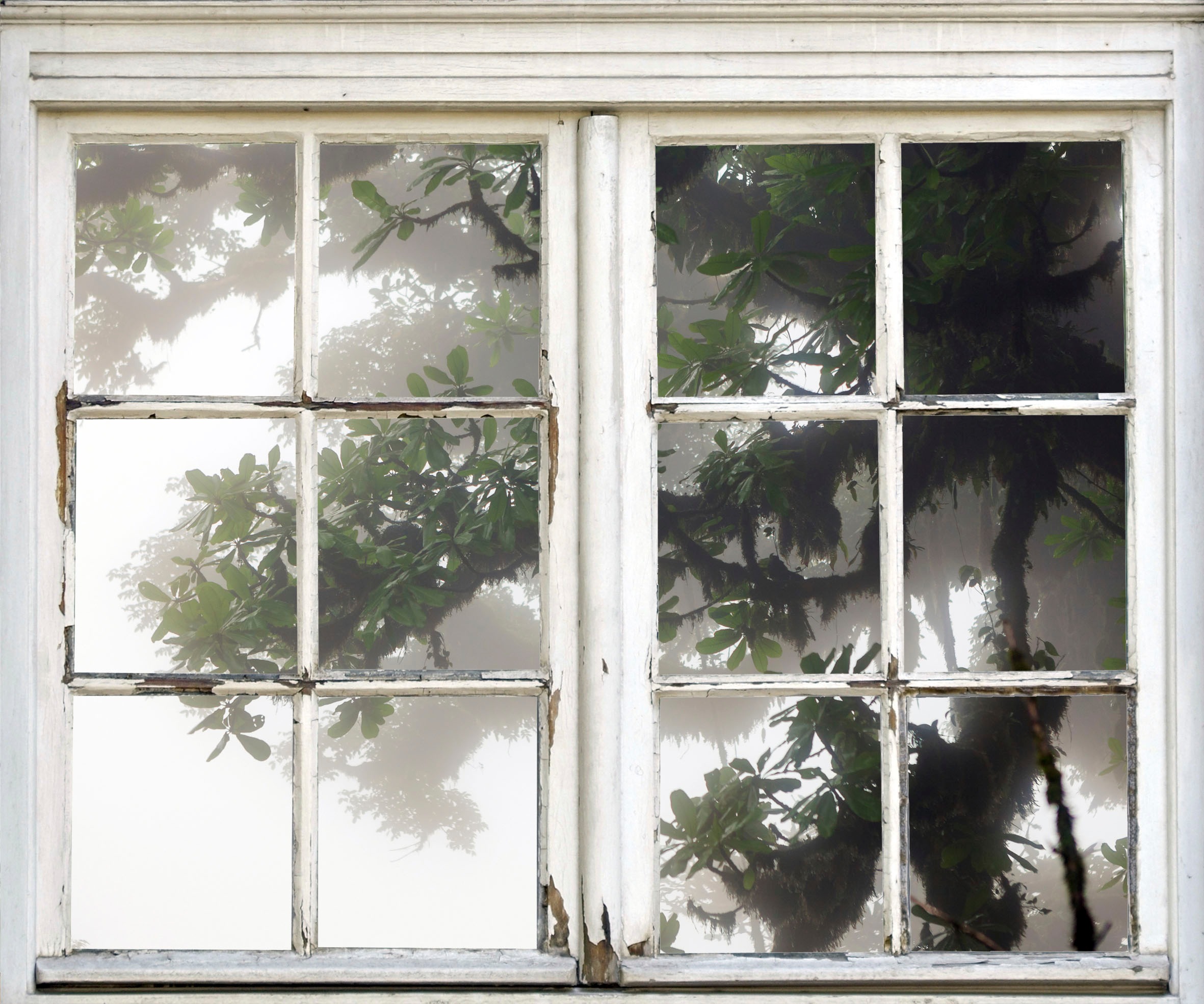 queence Wandsticker »Baum im Nebel«
